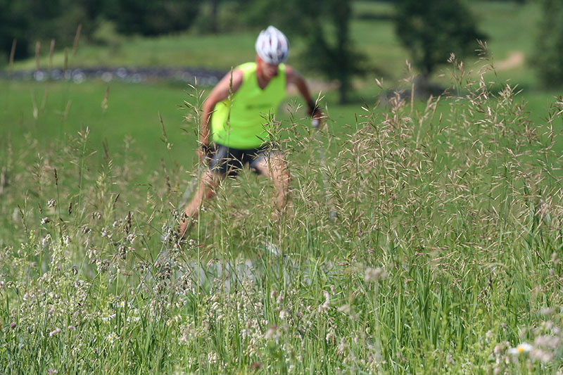 2013++06++VT-summer_roadside_Jun13tt.jpg