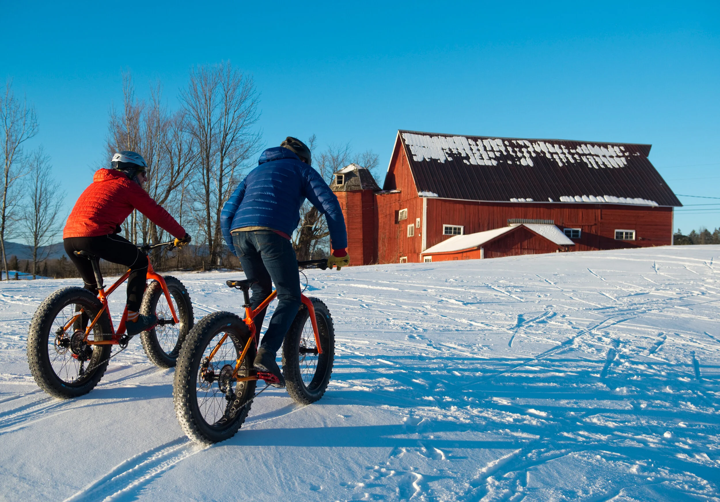 JEB fat bike 4.jpg