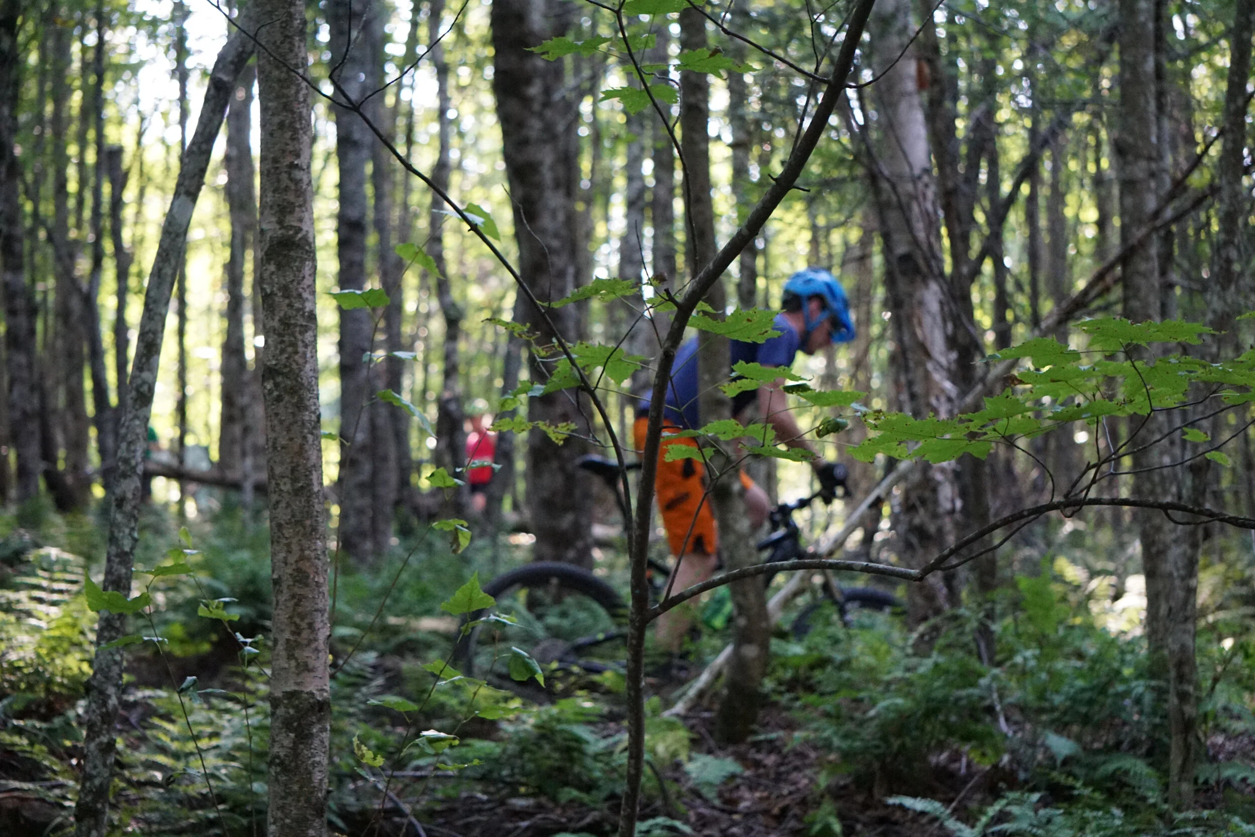 20150901-CPatterson-MtBk-047.jpg
