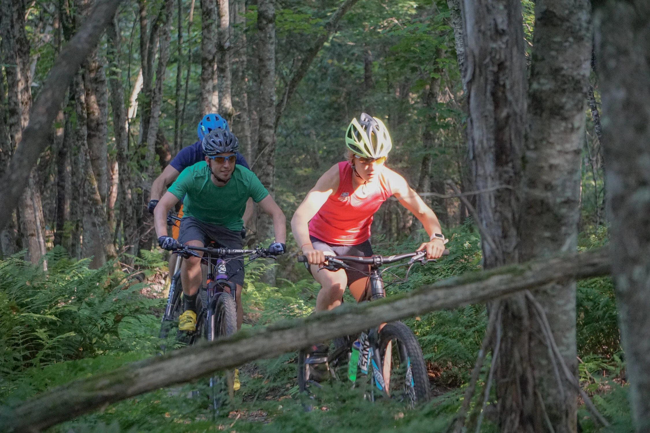 20150901-CPatterson-MtBk-077.jpg