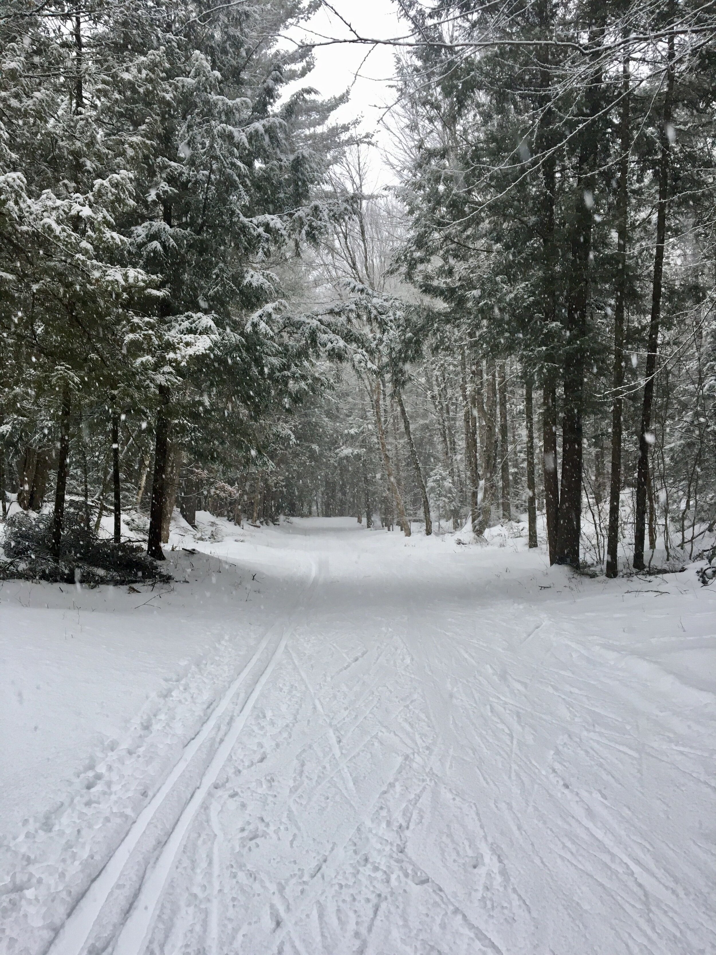snowy_trails.jpeg