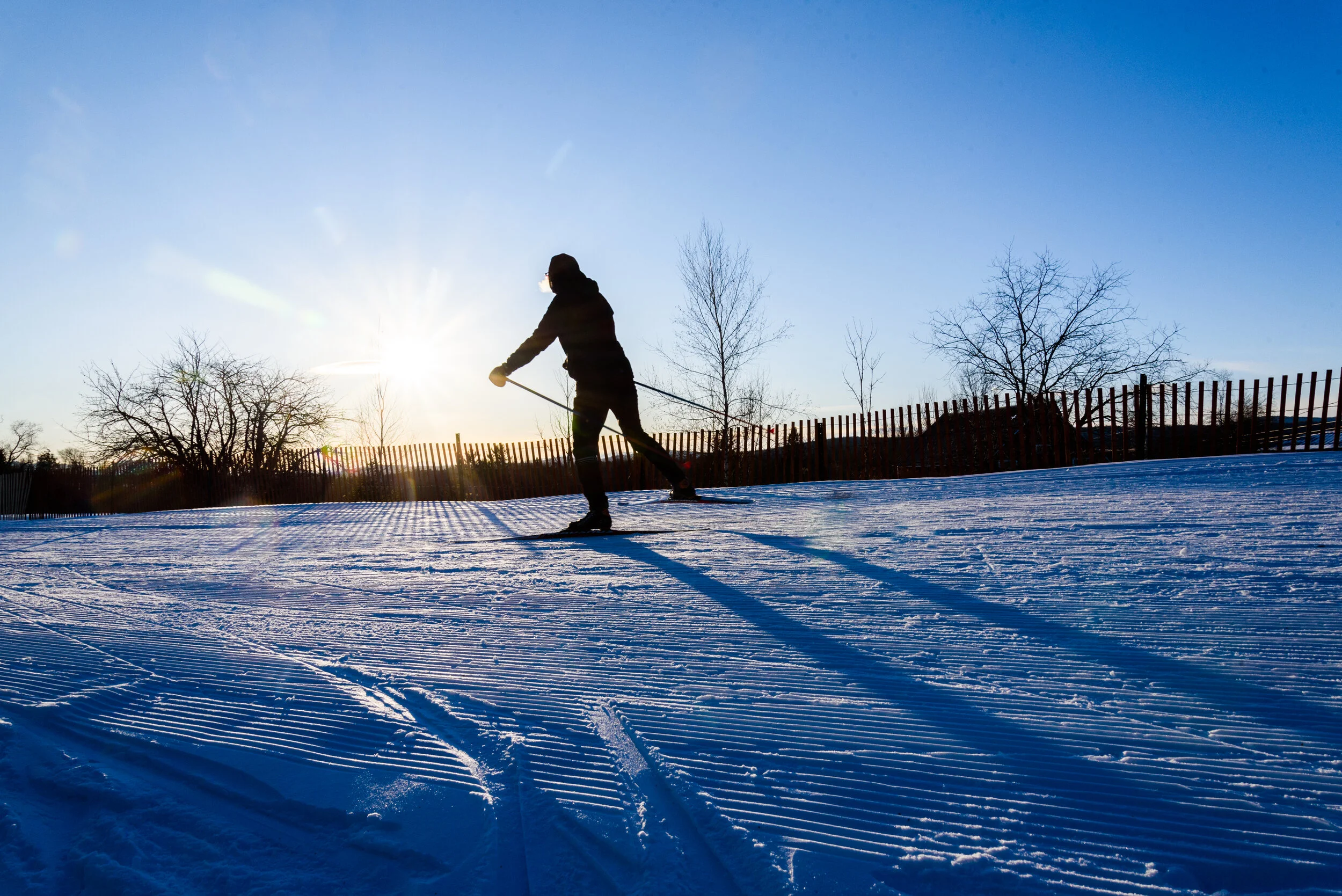 Inside scoop: Navigating Craftsbury's Nordic trails (and parking) on race days
