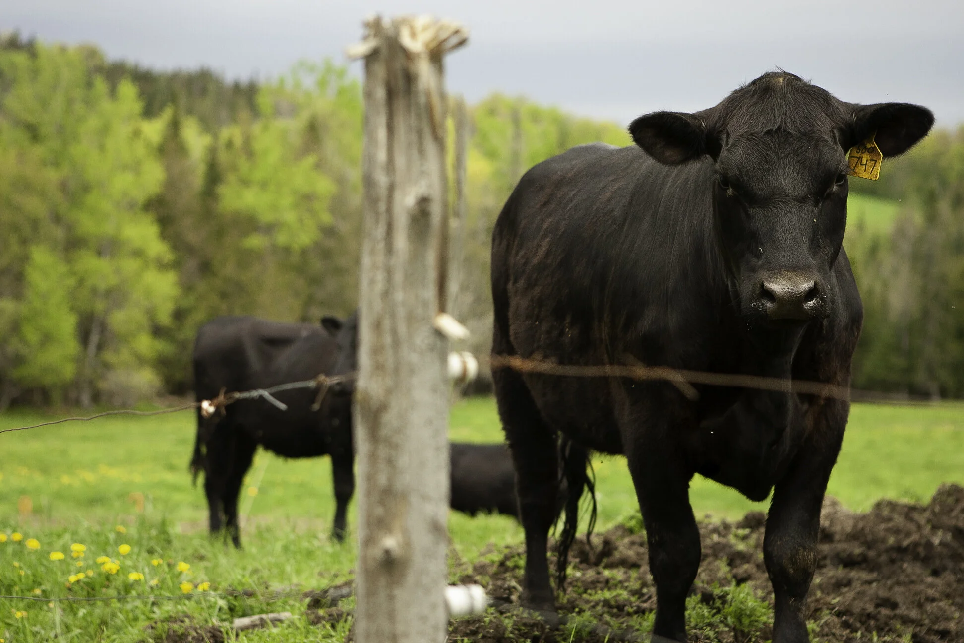 Five for Farmers: Week 2
