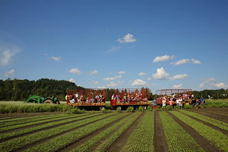 Five for Farmers: Week 3