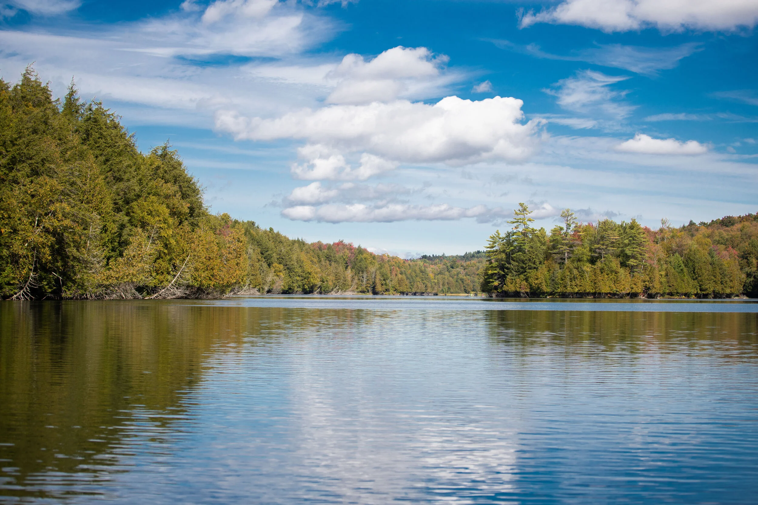 Help Wanted: Sculling Camp Coordinator