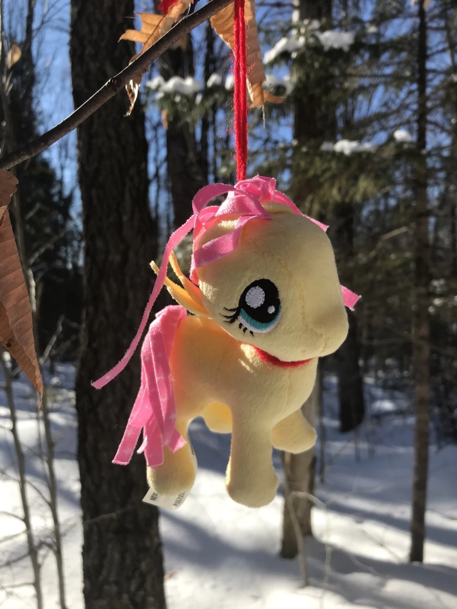 Announcing Critter Count 2022!