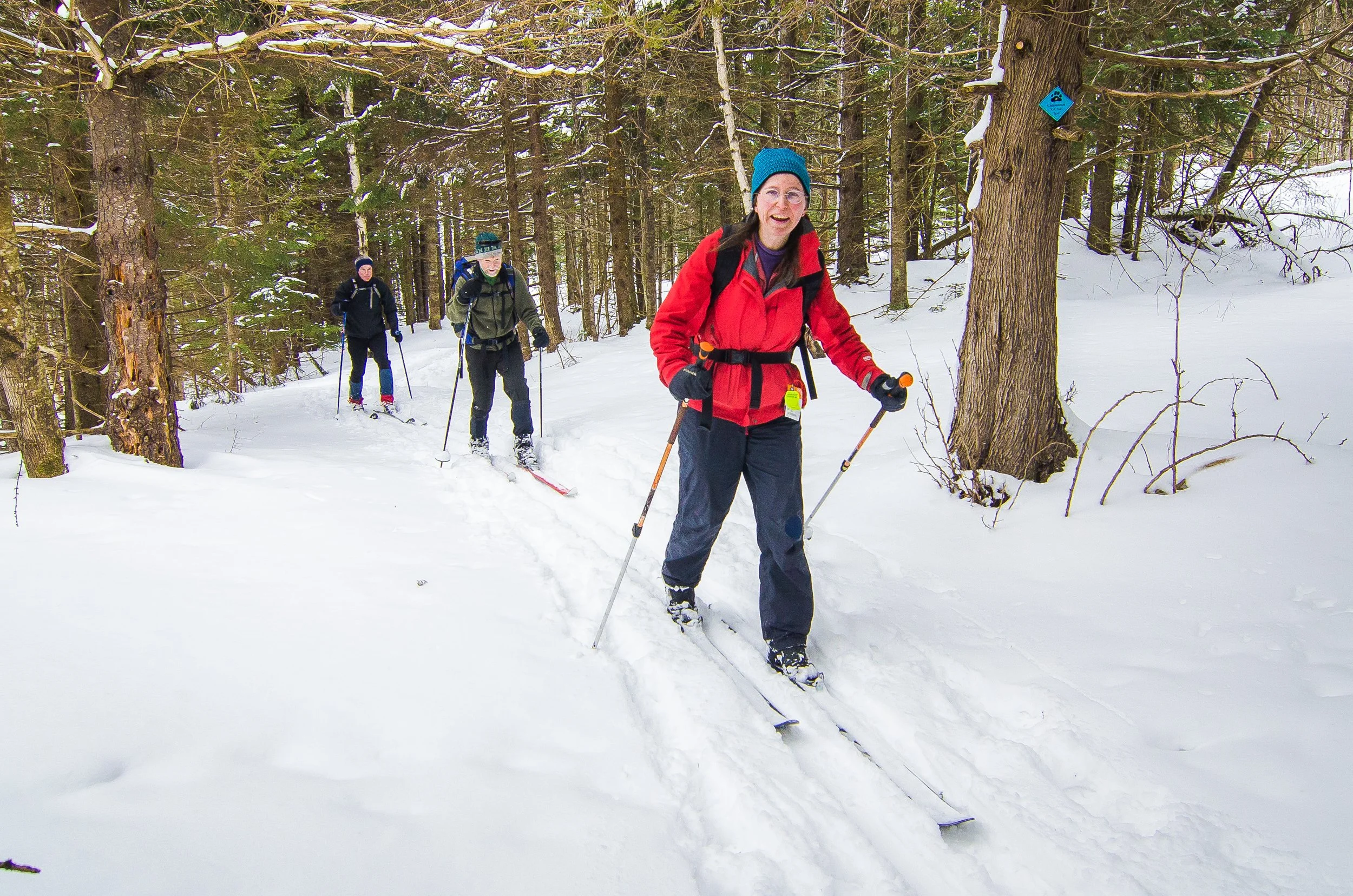 Announcing the CATGUT: a March ski fun-raiser for the Catamount Trail Association