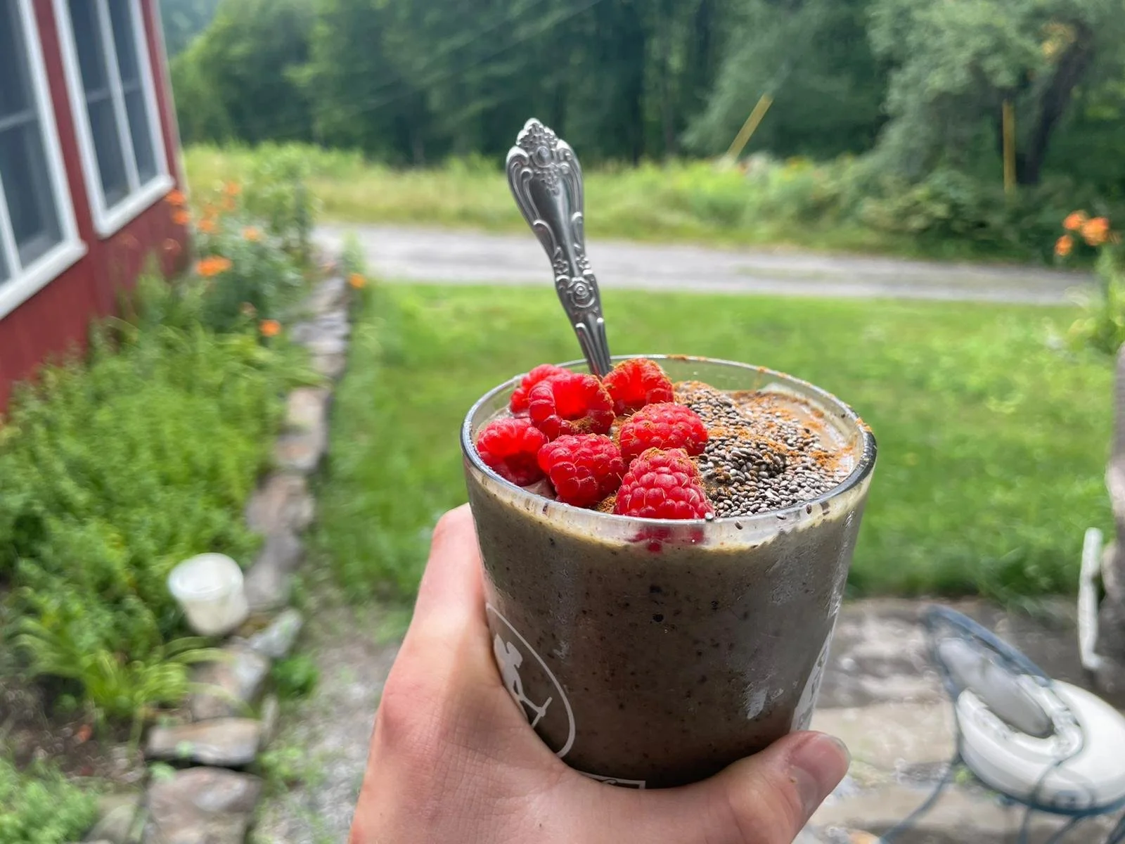 Recipe of the Month: Blueberry Bliss Smoothie