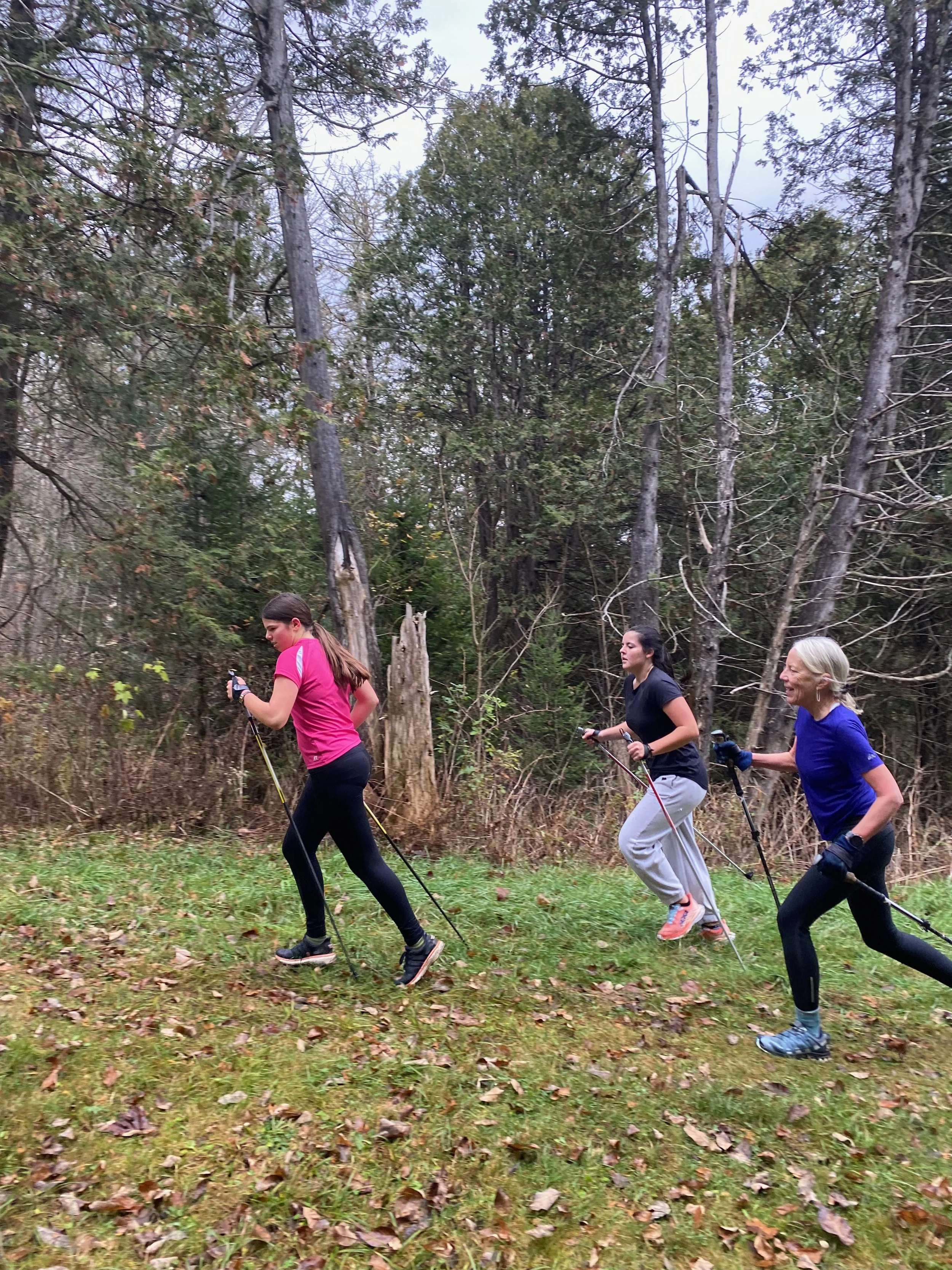 Training week of 11/6