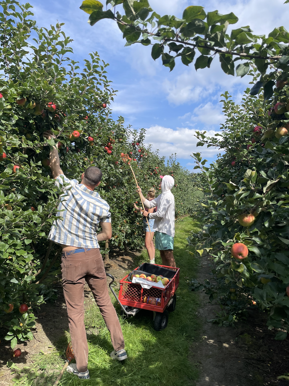 Recipe of the Month: Rhubarb Apple Crisp