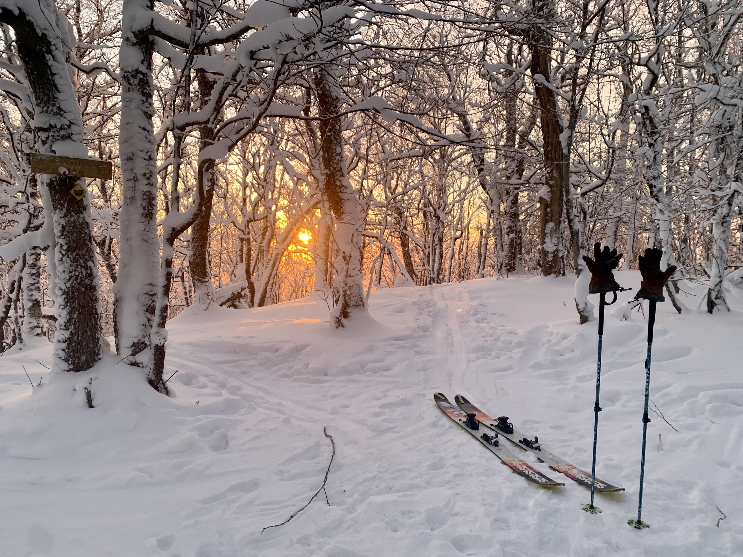 Favorite Workout: Winter Training for Trail Runners