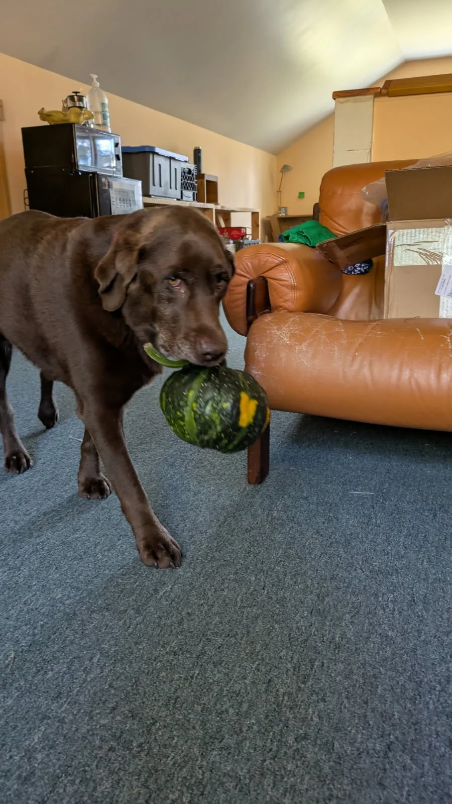 Training week of 10/13