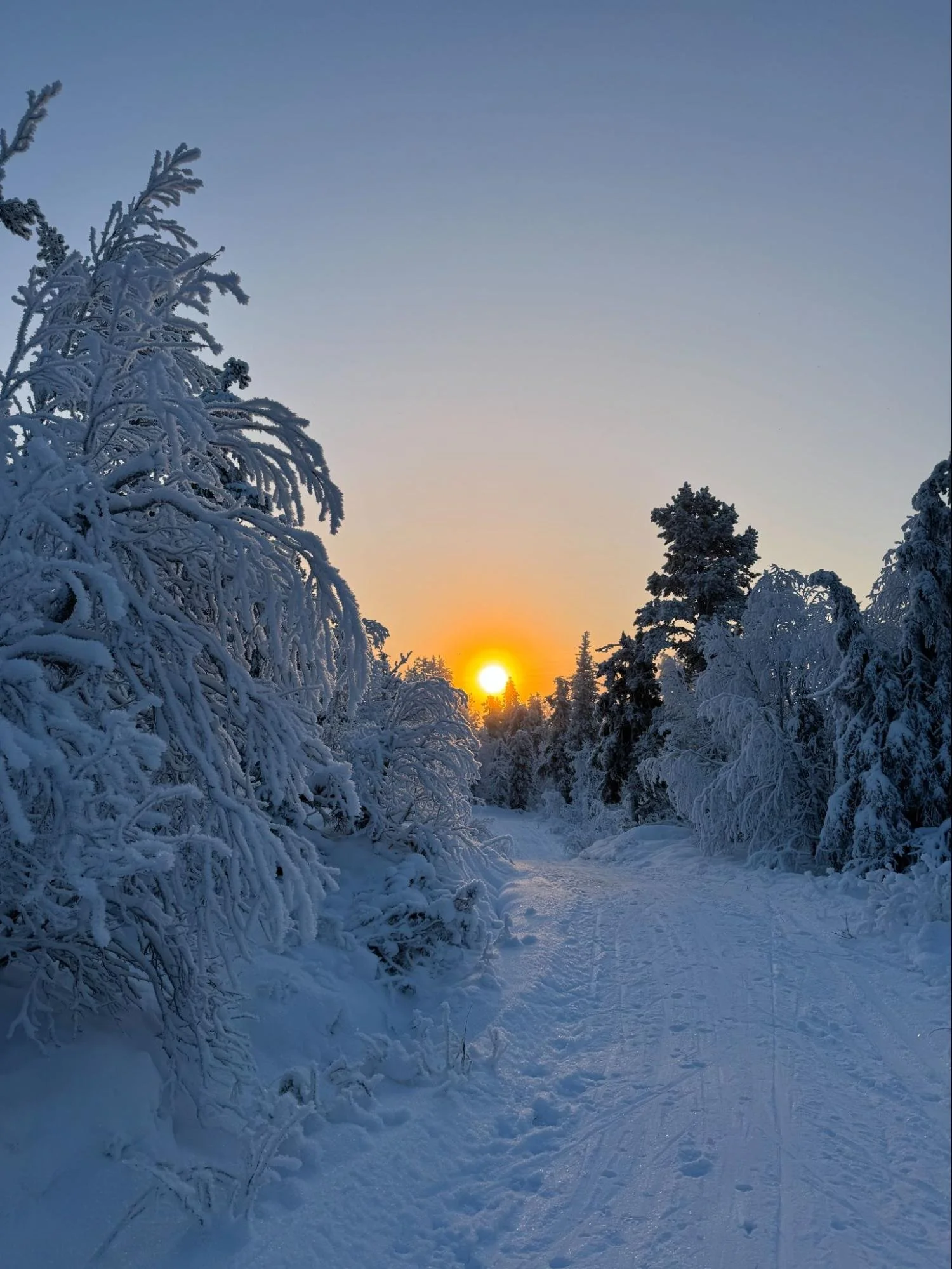 Tips for Skiing in Cold Weather