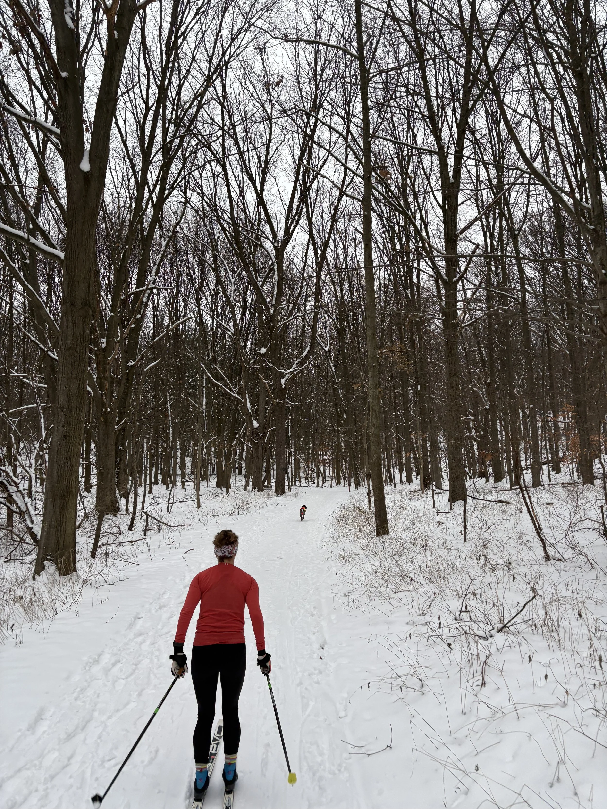Favorite Workout: XC Skiing for Runners