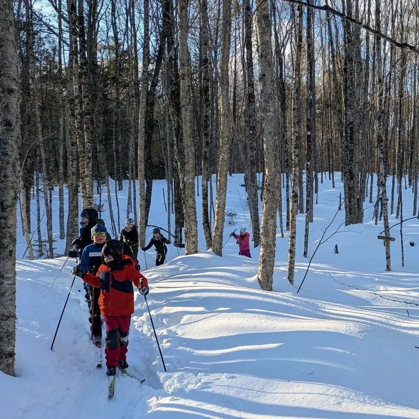 Training week of 3/2