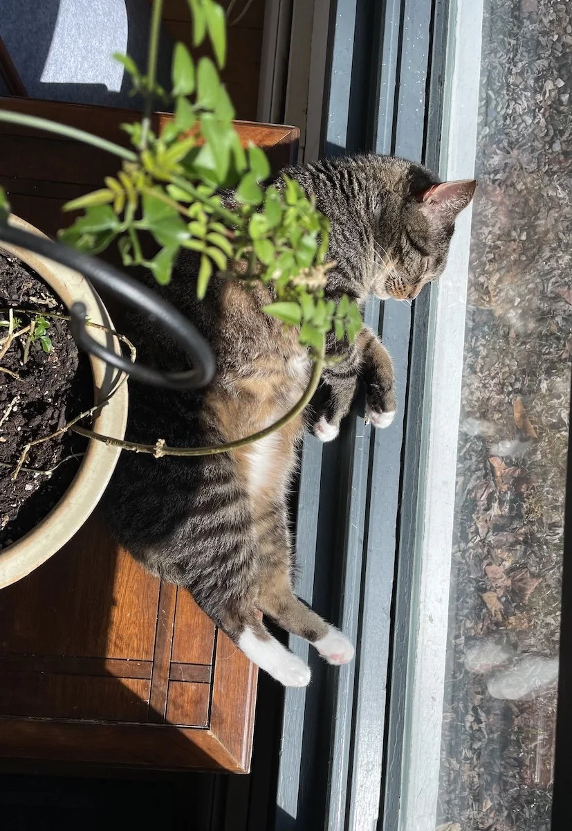 Juniors: April Training &amp; Beyond