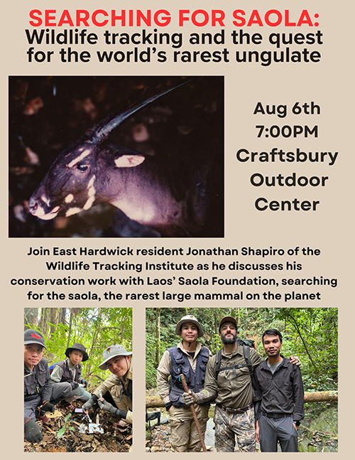 Searching for Saola: Wildlife tracking and the search for the world's rarest ungulate