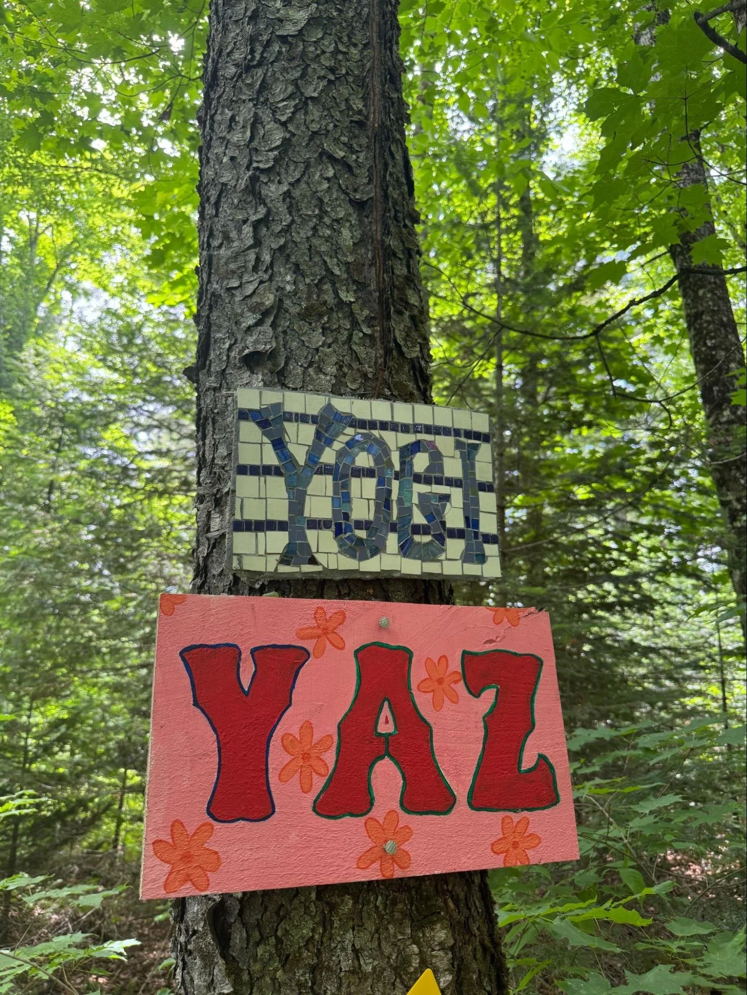 image9.jpg