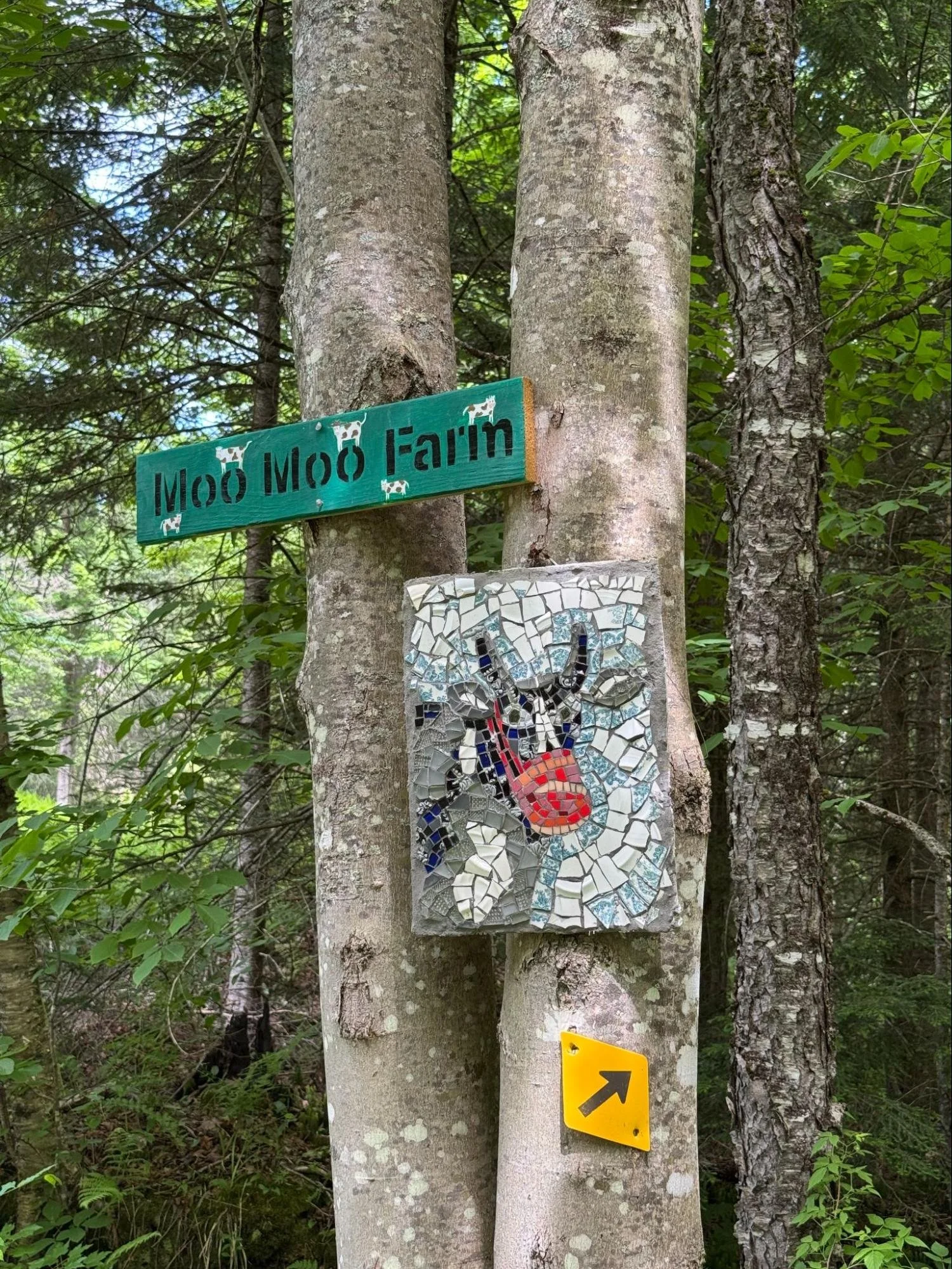 image10.jpg