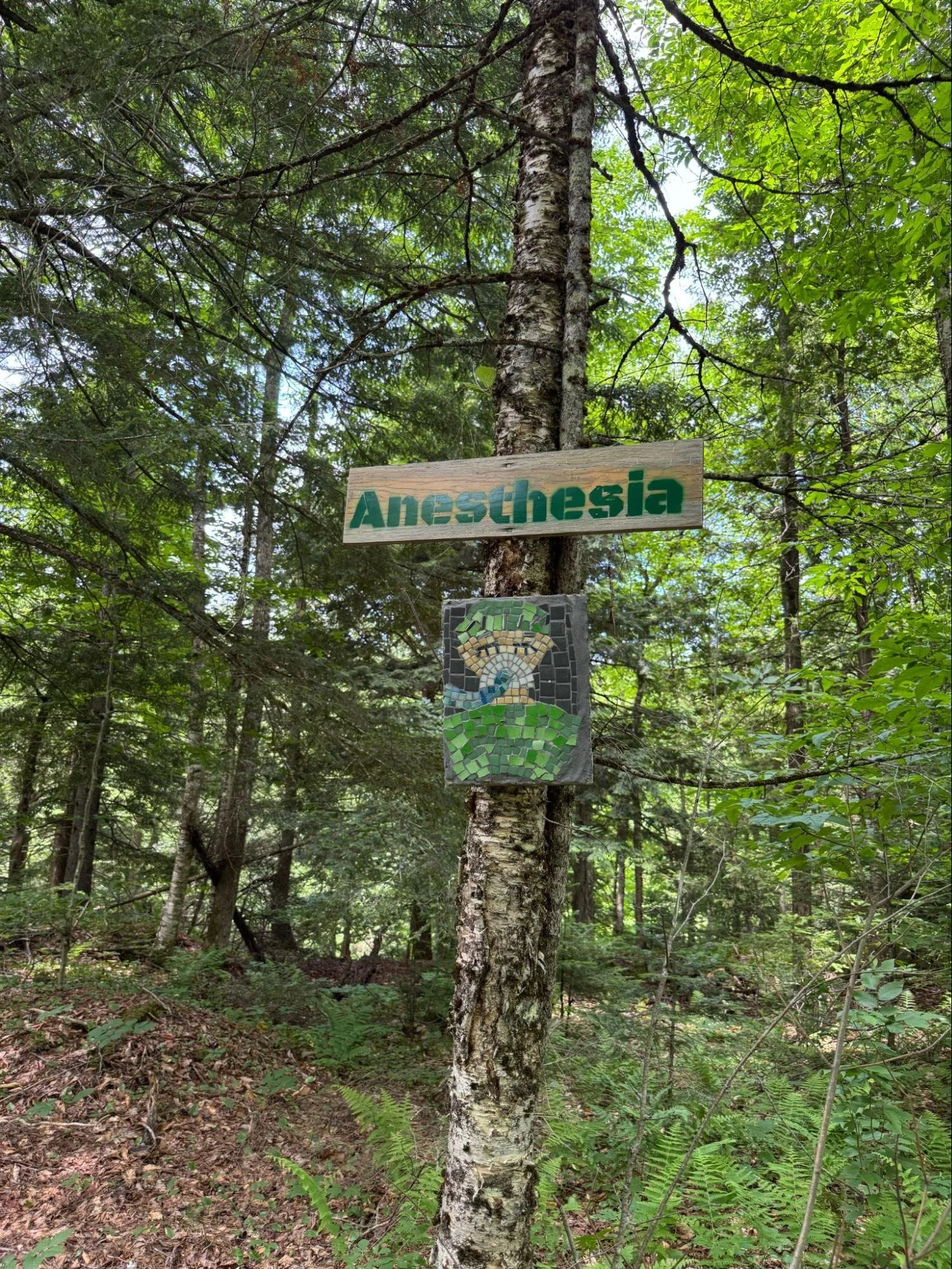 image13.jpg