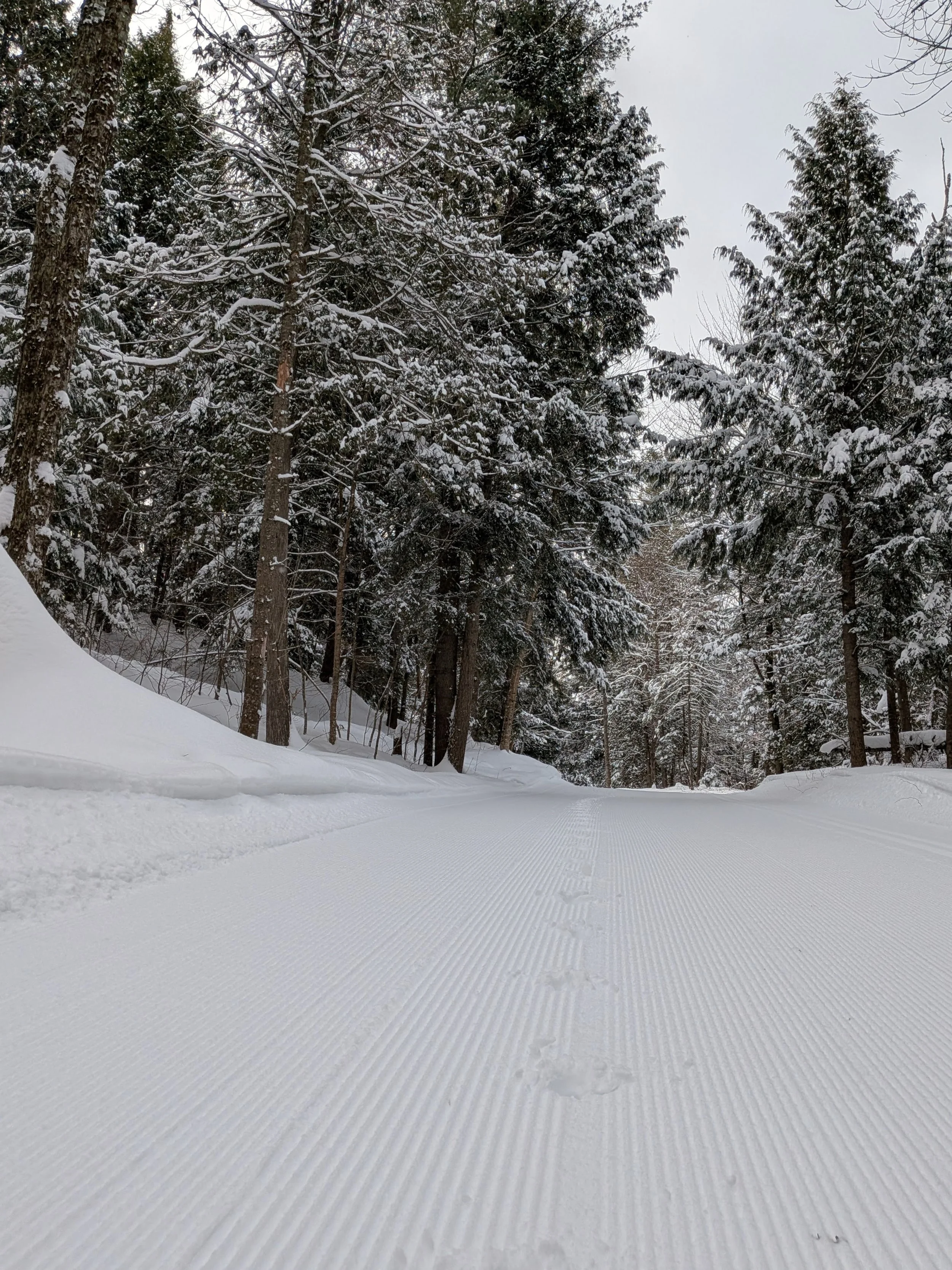 Craftsbury Weekend notes: 13-15 February