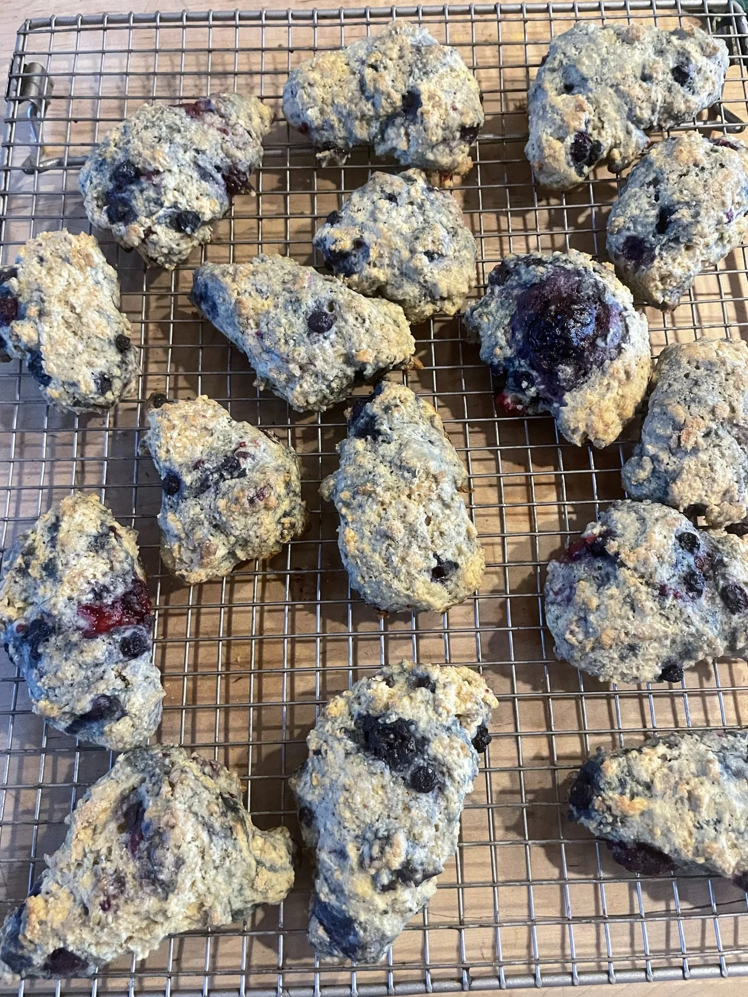 A batch of about sixteen freshly baked berry polenta scones on a wire cooling rack.