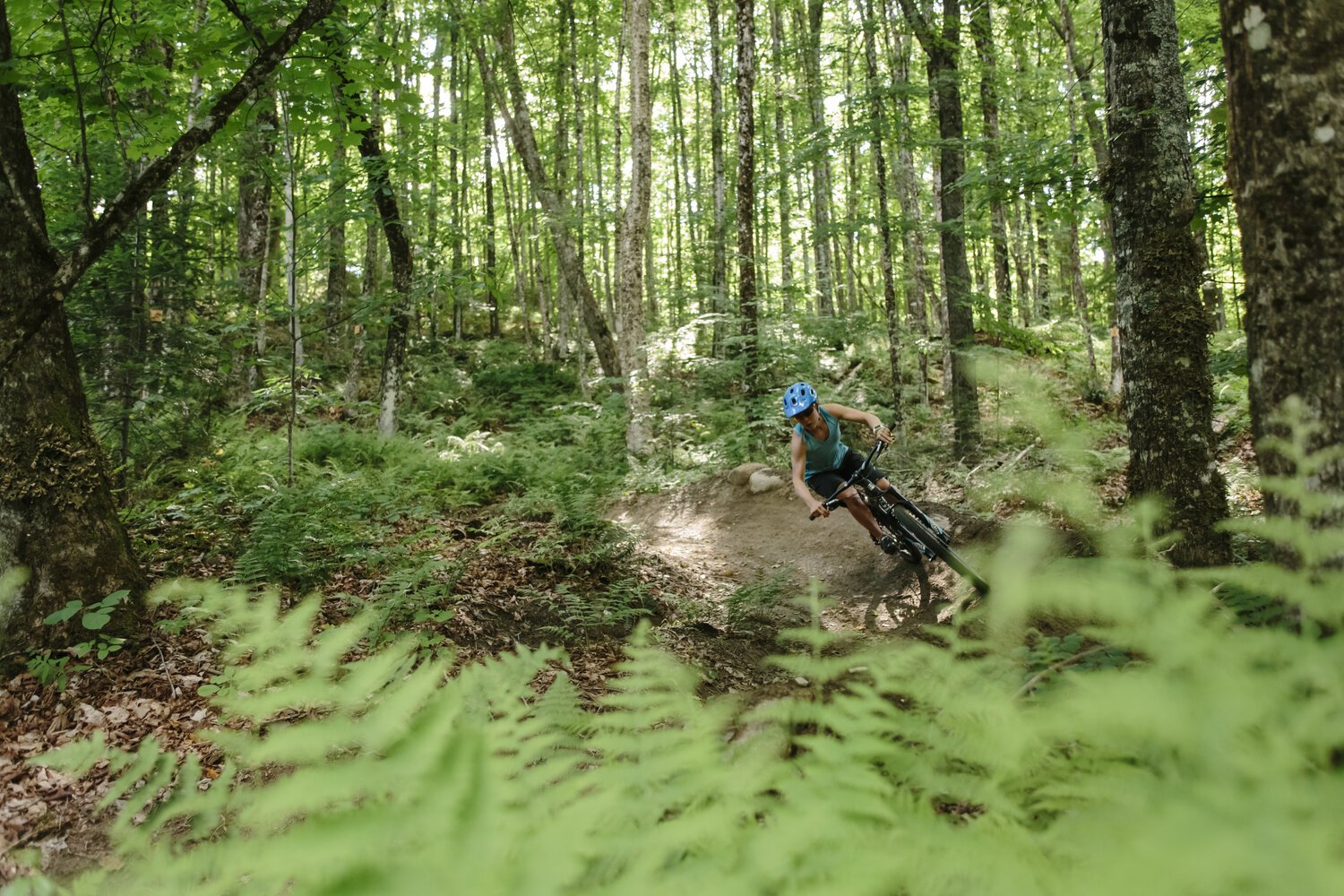 verdacht specificeren overhemd How to: Ride Your E-Bike at the Outdoor Center — Craftsbury Outdoor Center