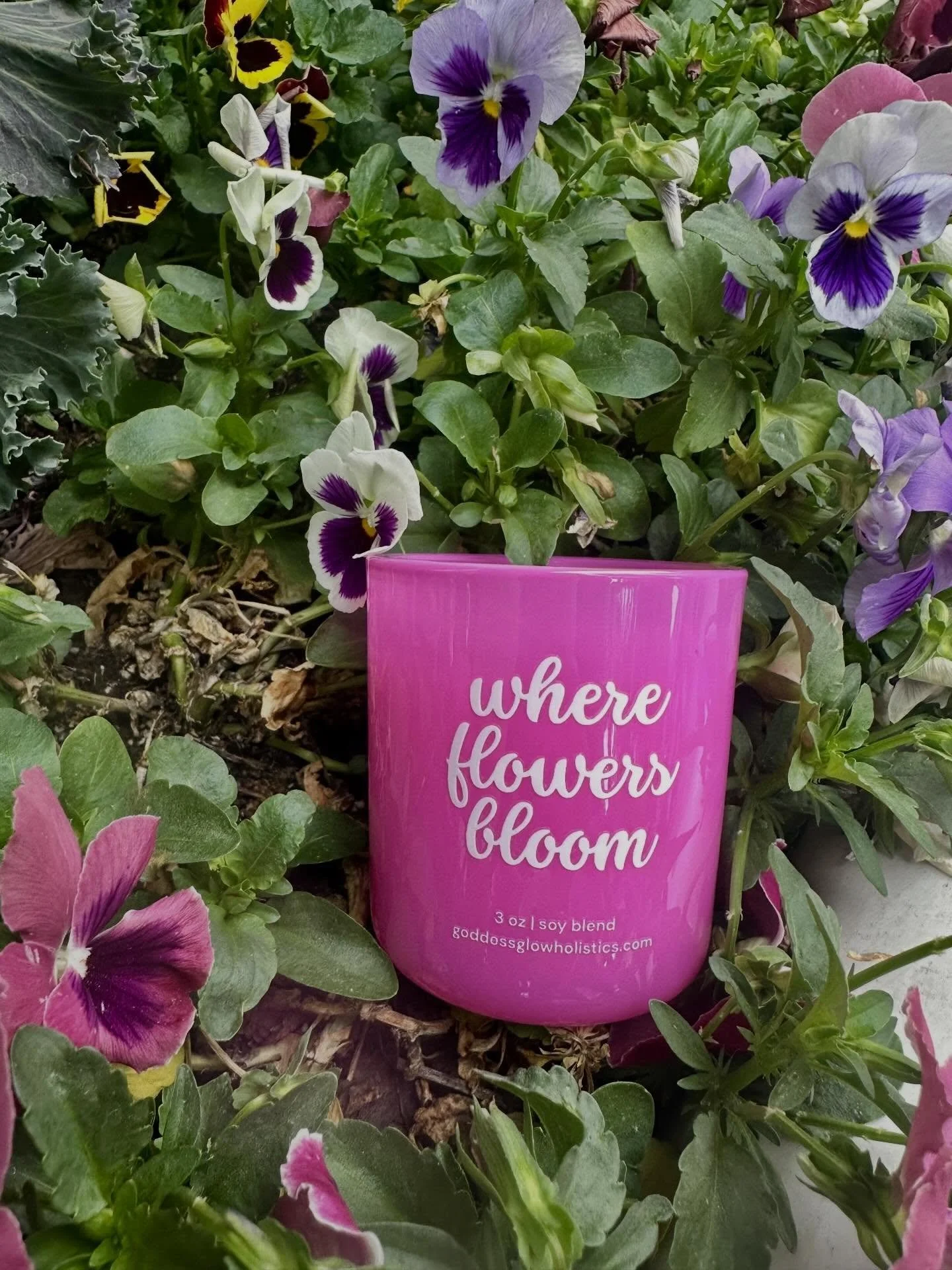 soft. feminine. in full bloom 🌸✨

Where Flowers Bloom has notes of pear, agave, rose, and cherry blossom. This candle feels like stepping into your soft girl spring&hellip; fresh starts, open hearts, and new energy all around 🌷

3 oz | soy blend
av