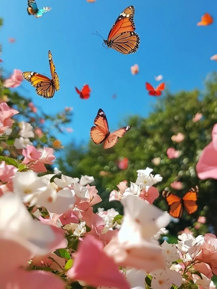 It's time for your monthly check-in 🌸

The Evolving Goddess Digital Journal, April edition is officially live. Your monthly reminder to slow down, reset, and realign.

This month we're focusing on balance, emotional regulation, and womb care. Includ