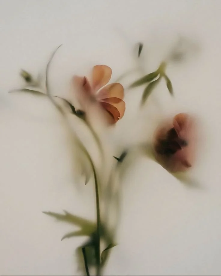 flowers behind a veil.jpeg