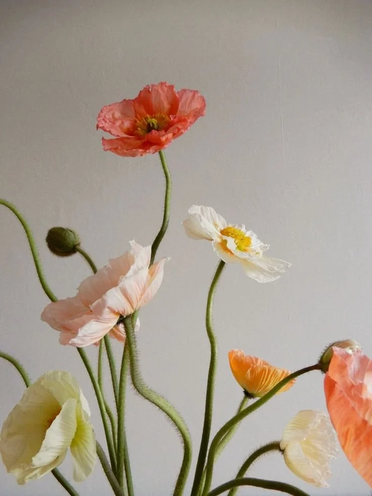 Romantic elegant premium Spring wedding flowers - Icelandic poppies.jpeg