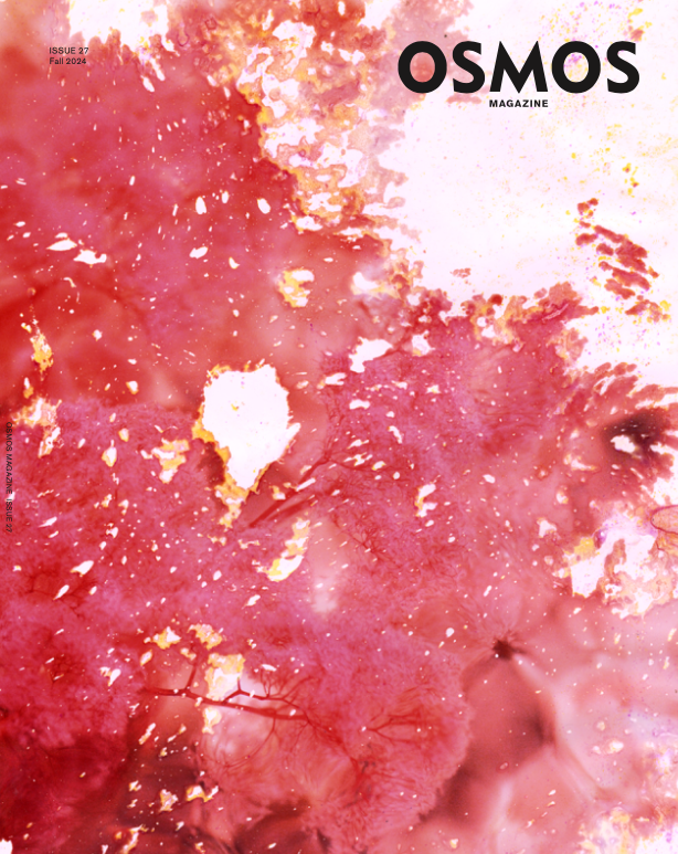 Screen Shot 2024-11-15 at 3.37.09 PM.png