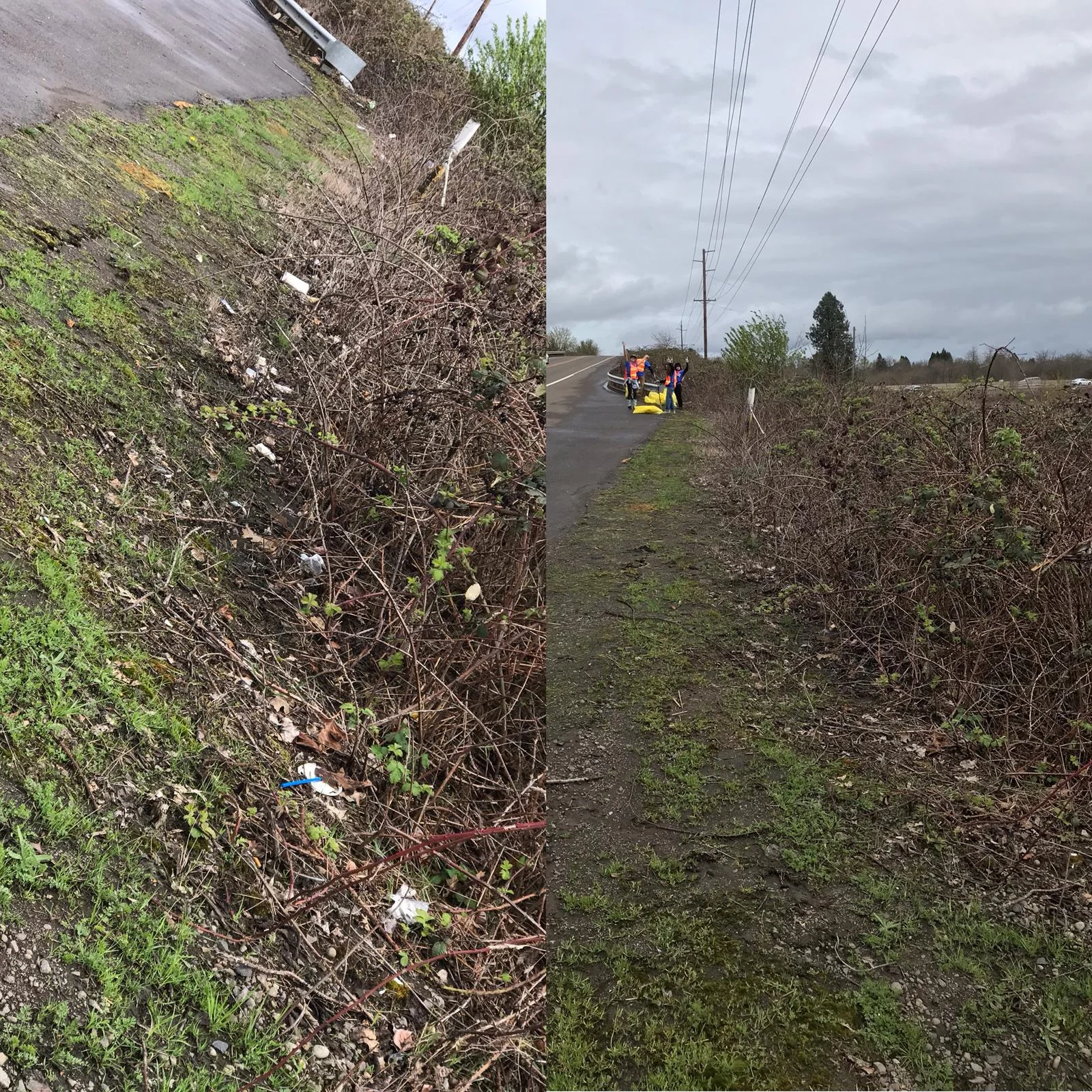 3755roadcleanupr4.jpeg
