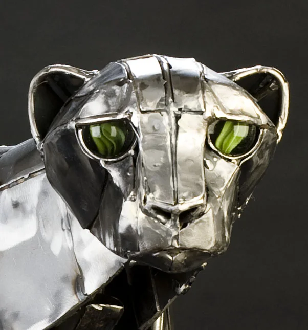 cheetah closeup .jpg