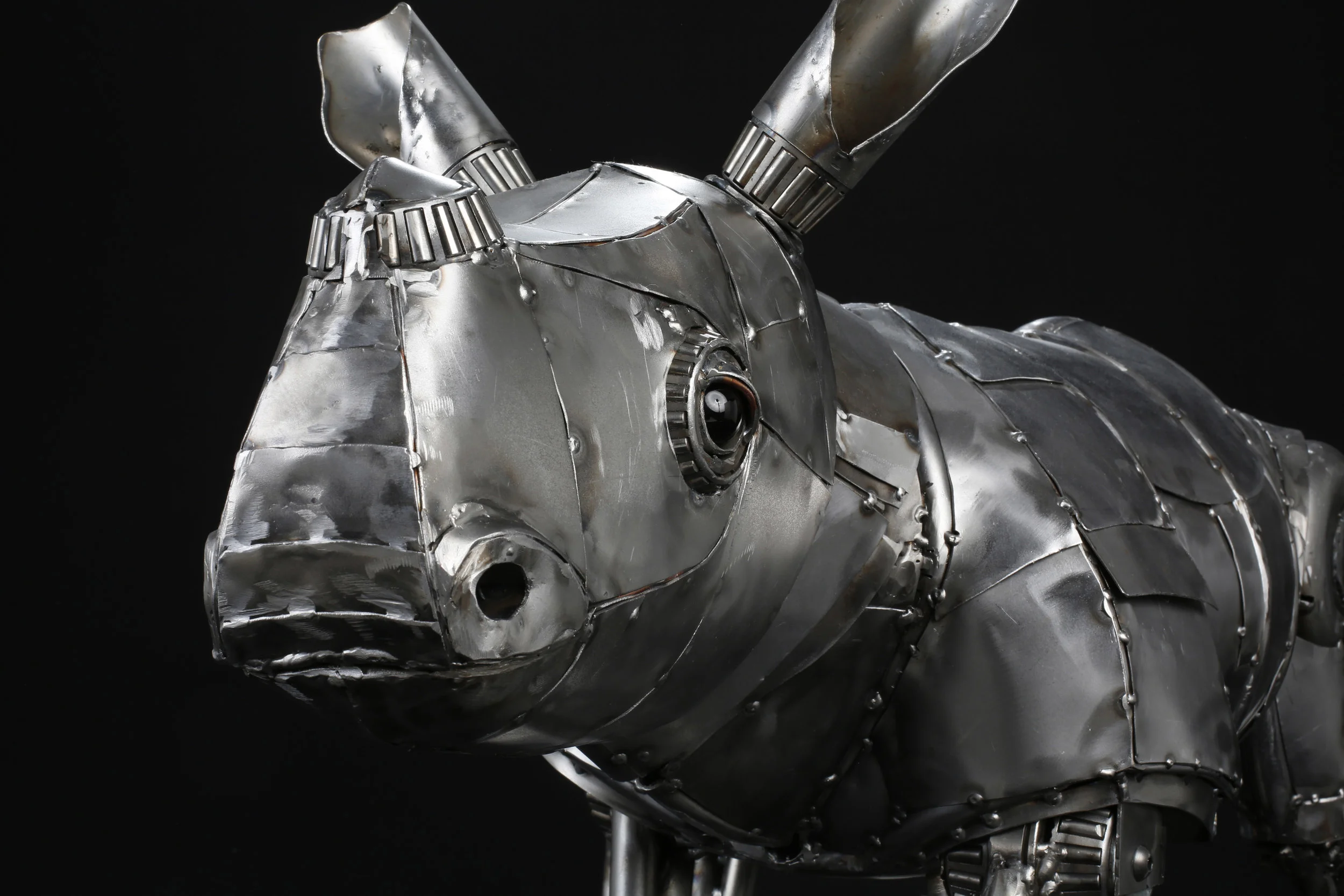 Baby Rhino Metal Sculpture - Friendly closeup.jpg