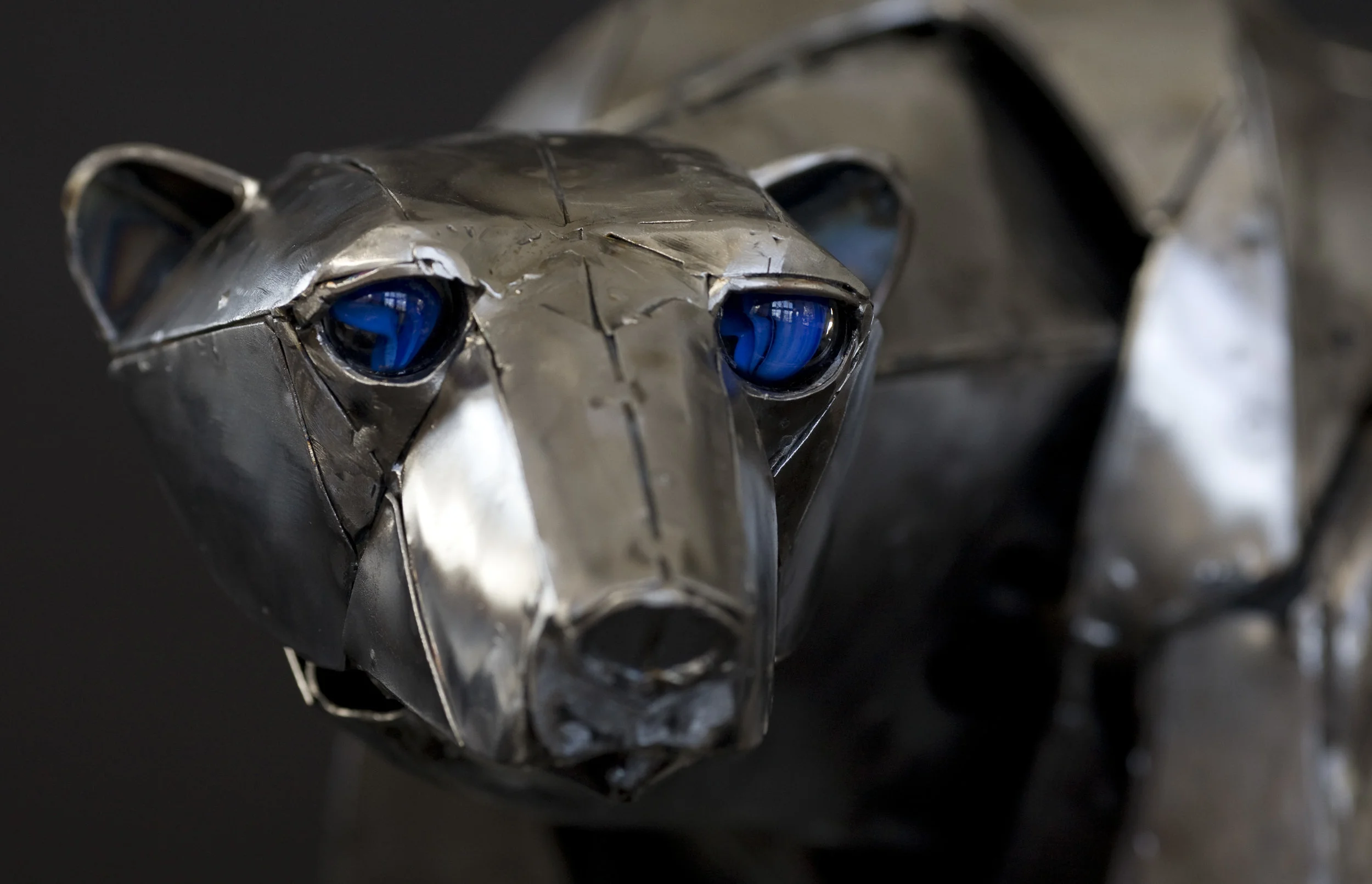 metal polarbear -worry.jpg