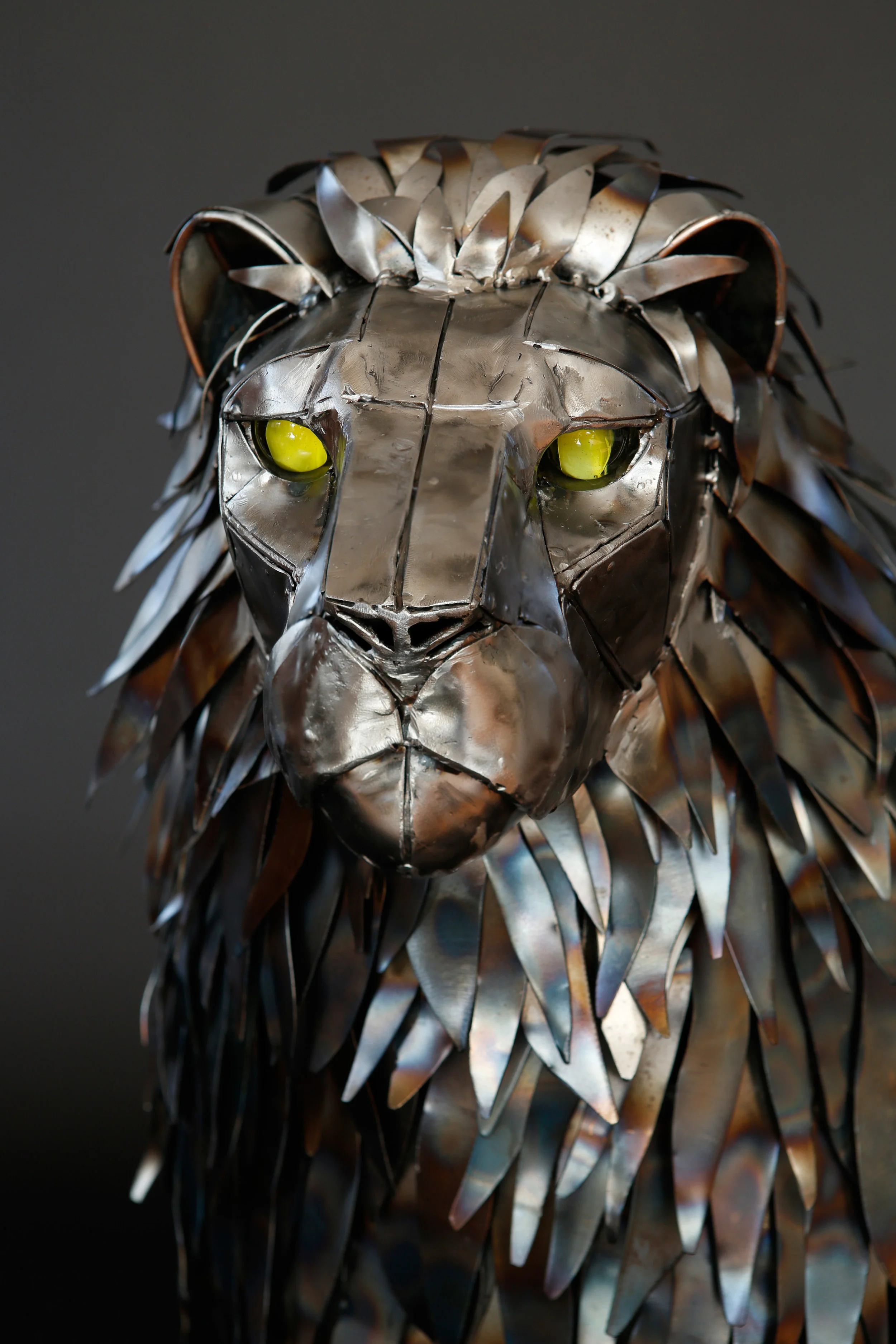 Large Lion head 1_1.jpg