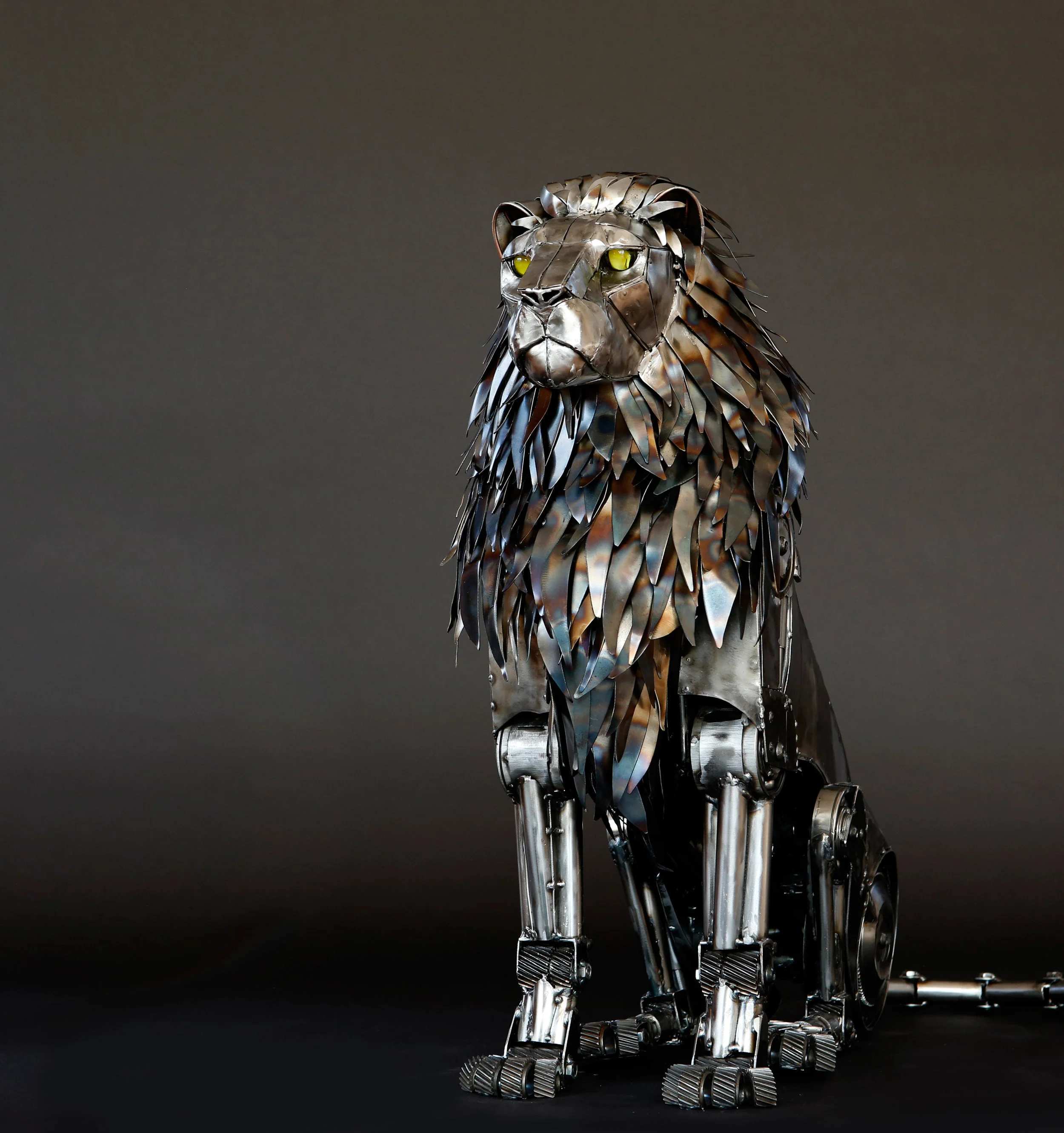 Large Lion sitting 1_1.jpg