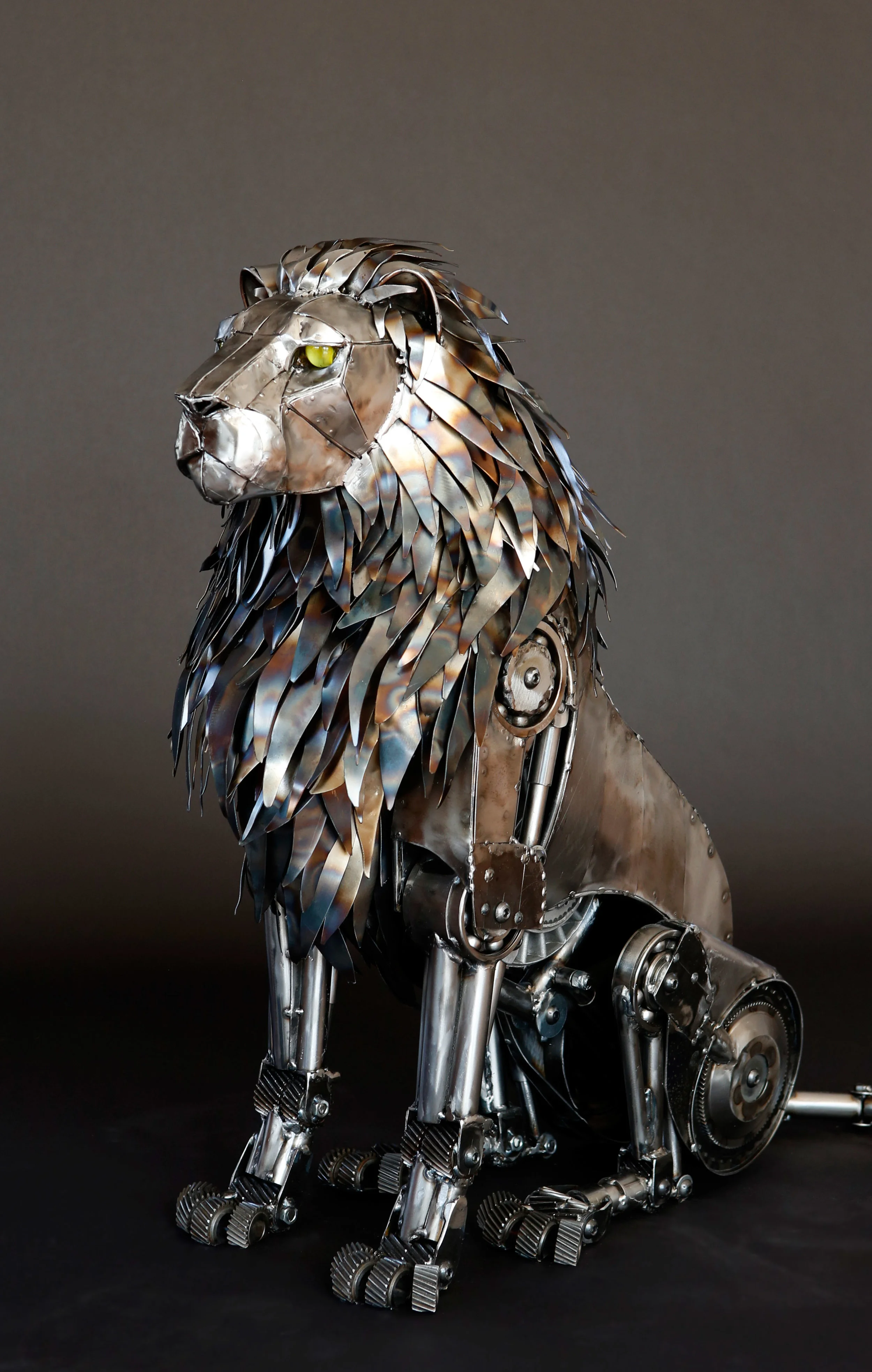 Large Lion sitting 4_1.jpg