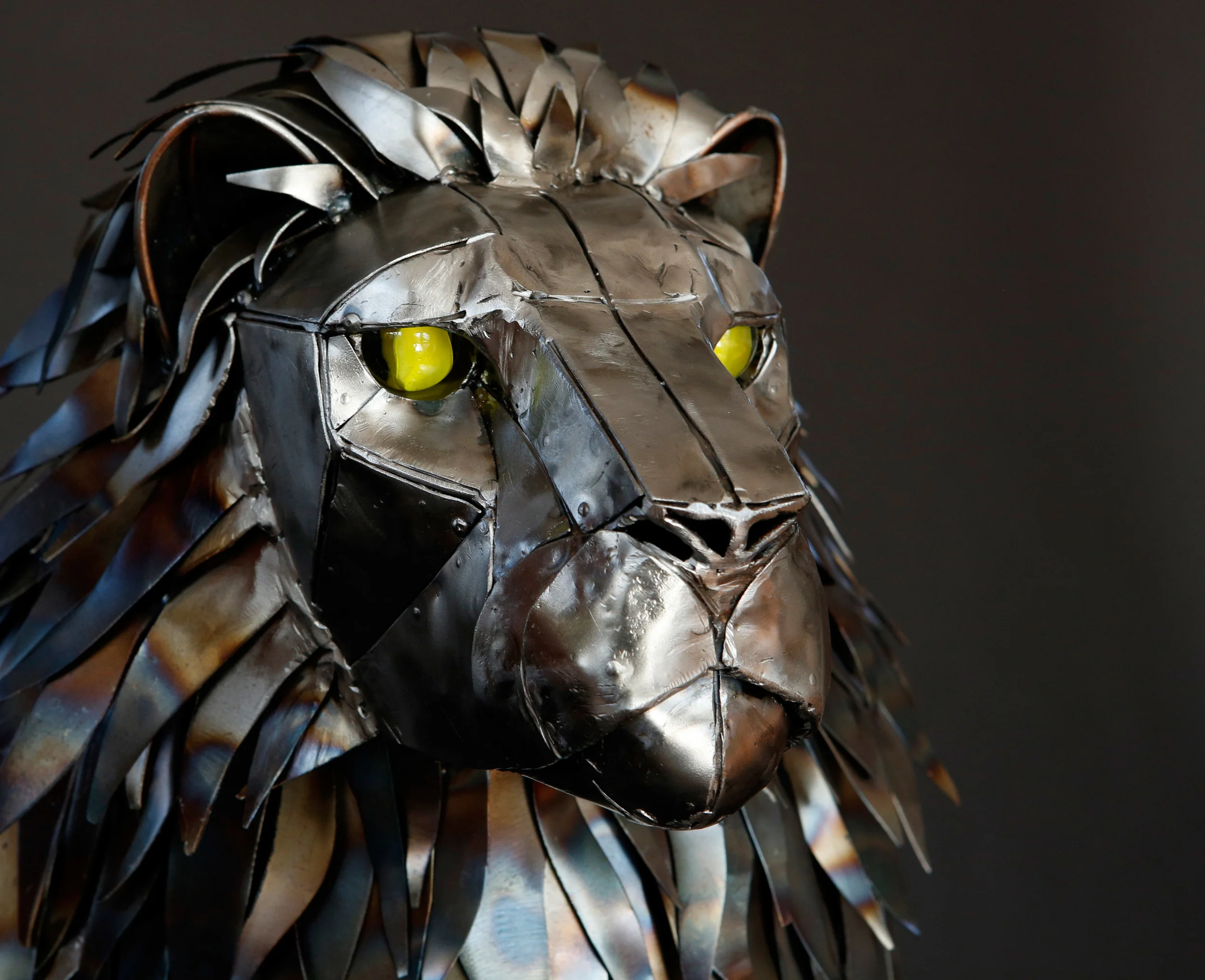 Large Lion head 2_1.jpg