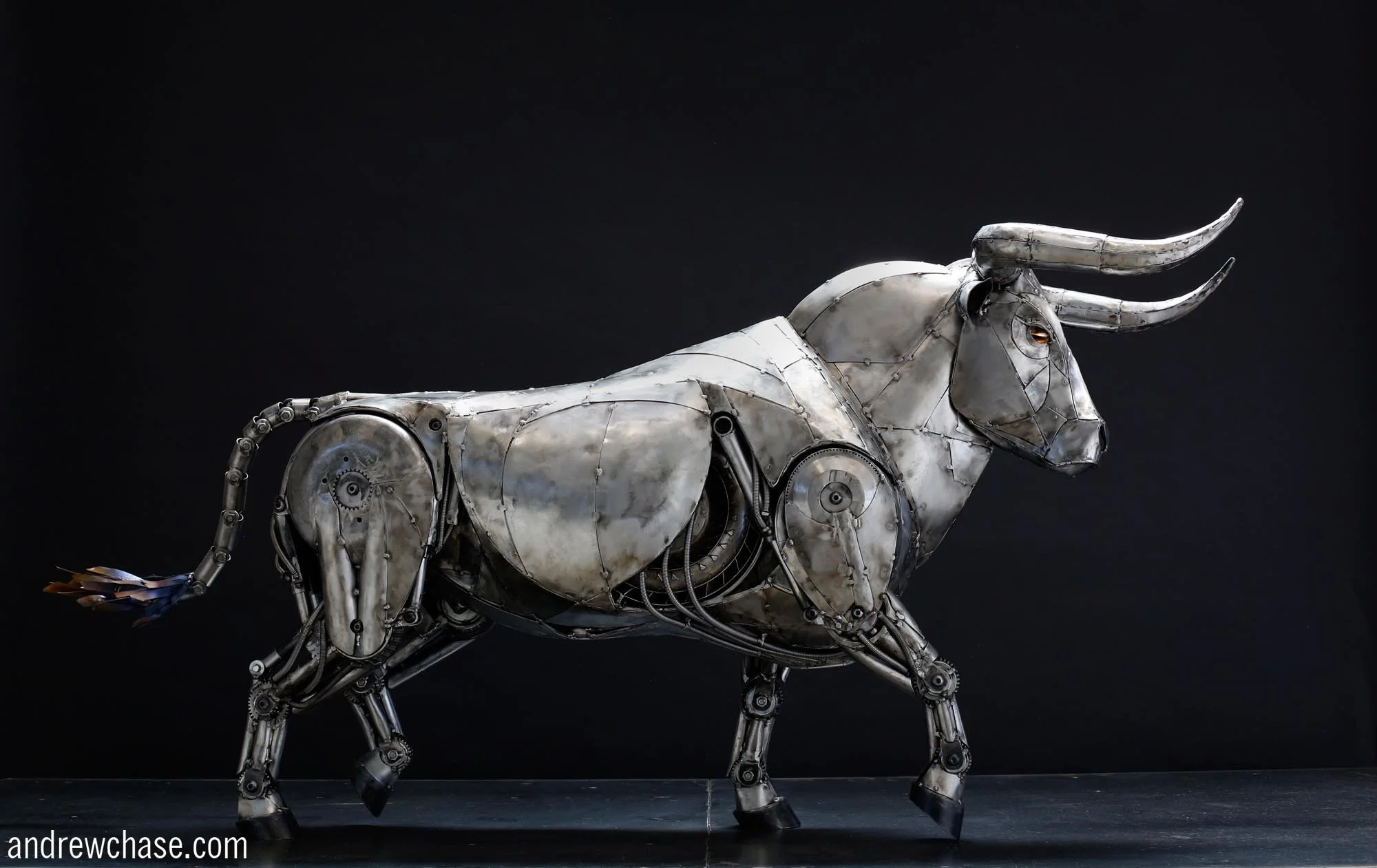 Spanish Bull - Trotting.jpg