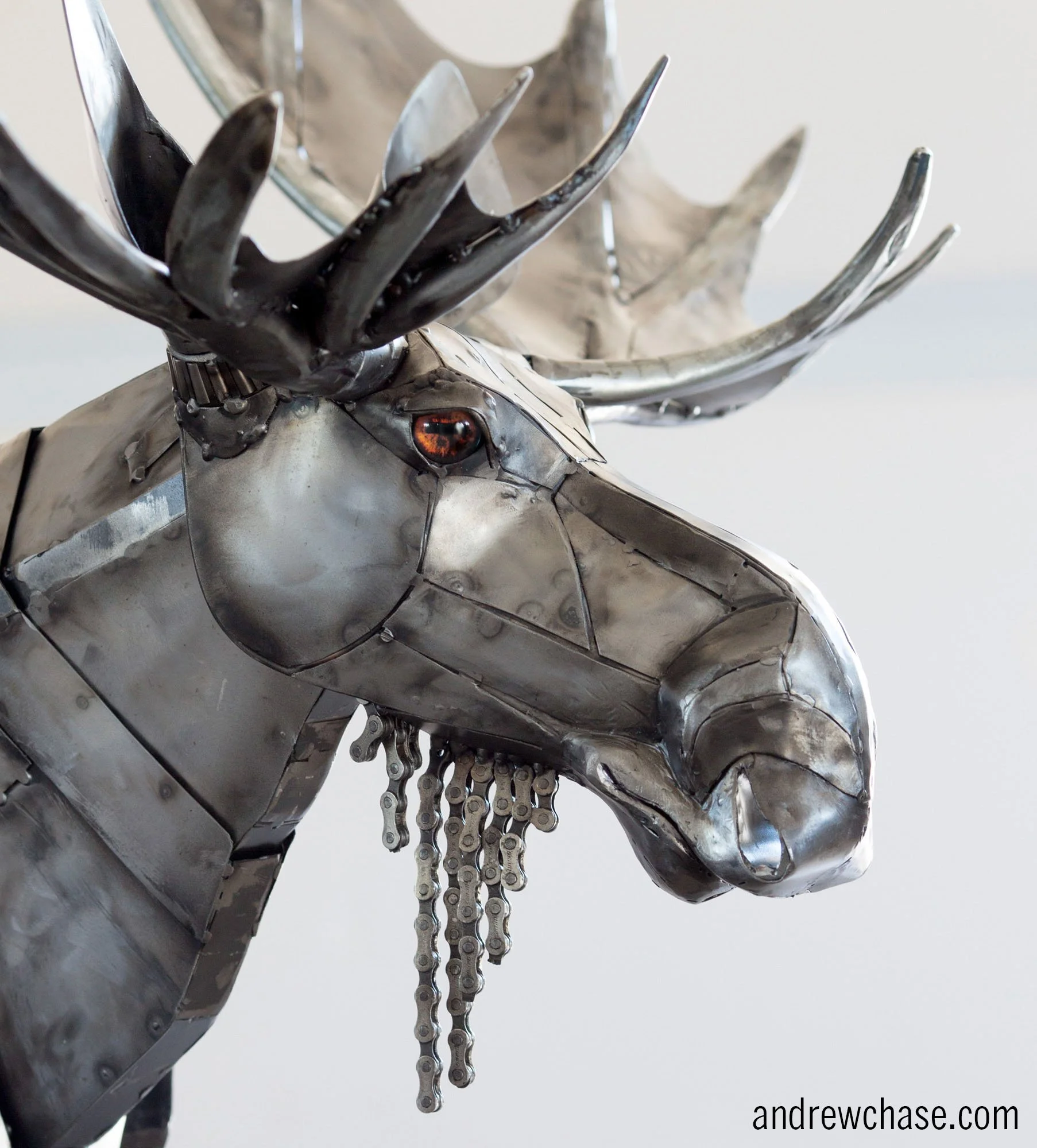 Moose Sculpture - Head Shot.jpg