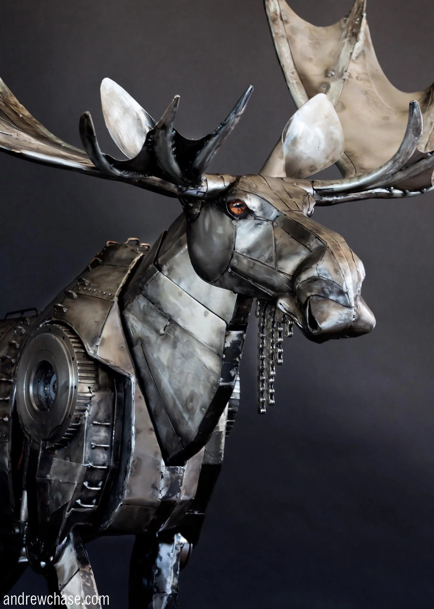 Moose Sculpture - Three Quarter Head Shot.jpg