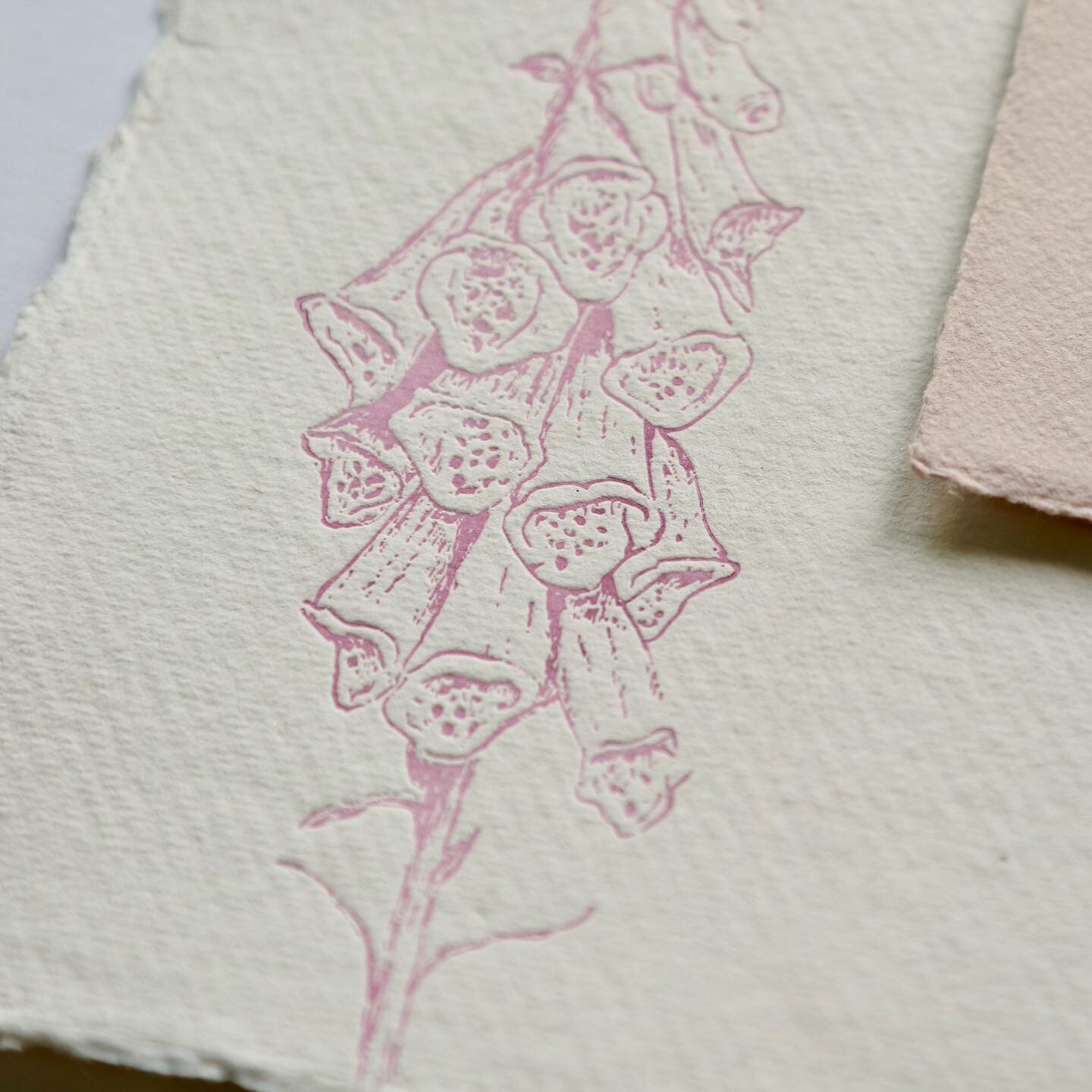 Just slipped in a little foxglove printing using these gorgeous handmade papers before I tackle my next big print job of the day. 

#foxgloves #foxglove #foxglovesofinstagram #artprints #artprint #handmadepaper #letterpress #letterpresslove #weddings