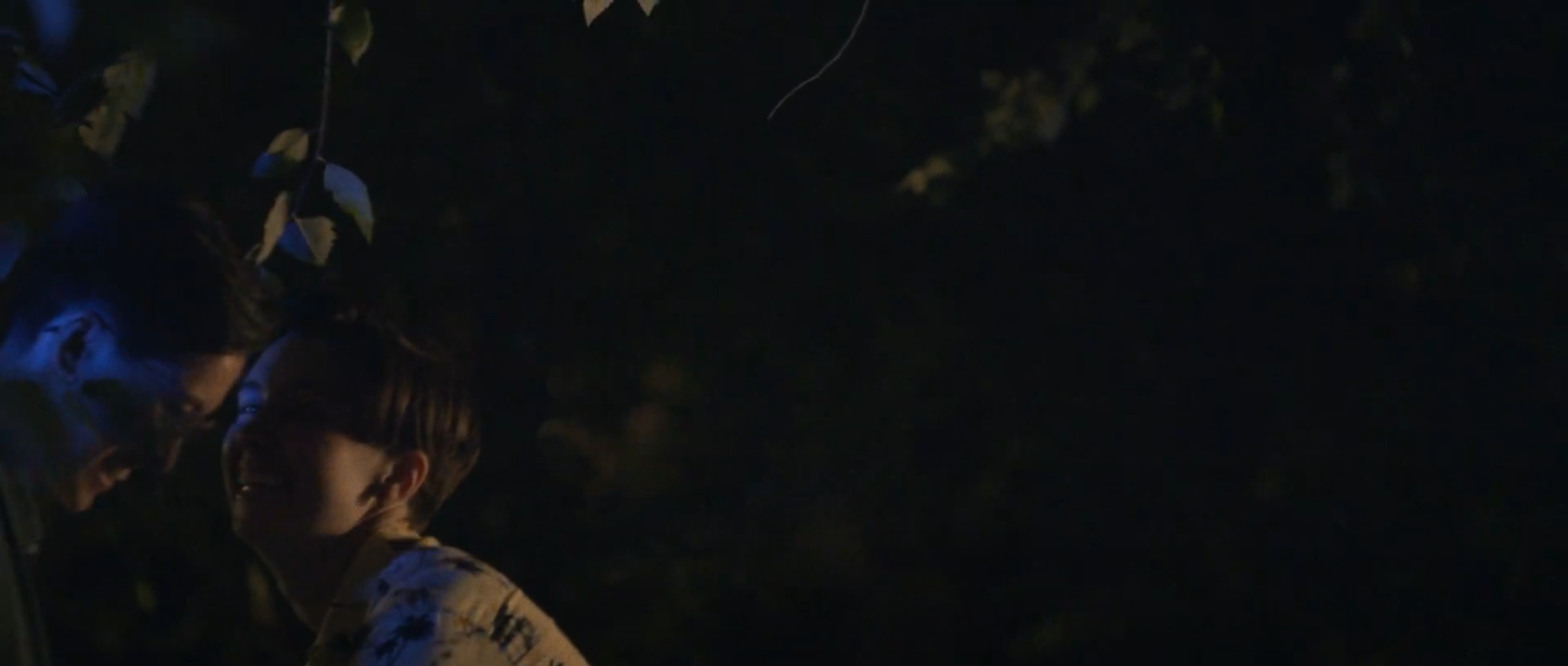 Screen Shot 2020-11-17 at 6.30.54 PM.png