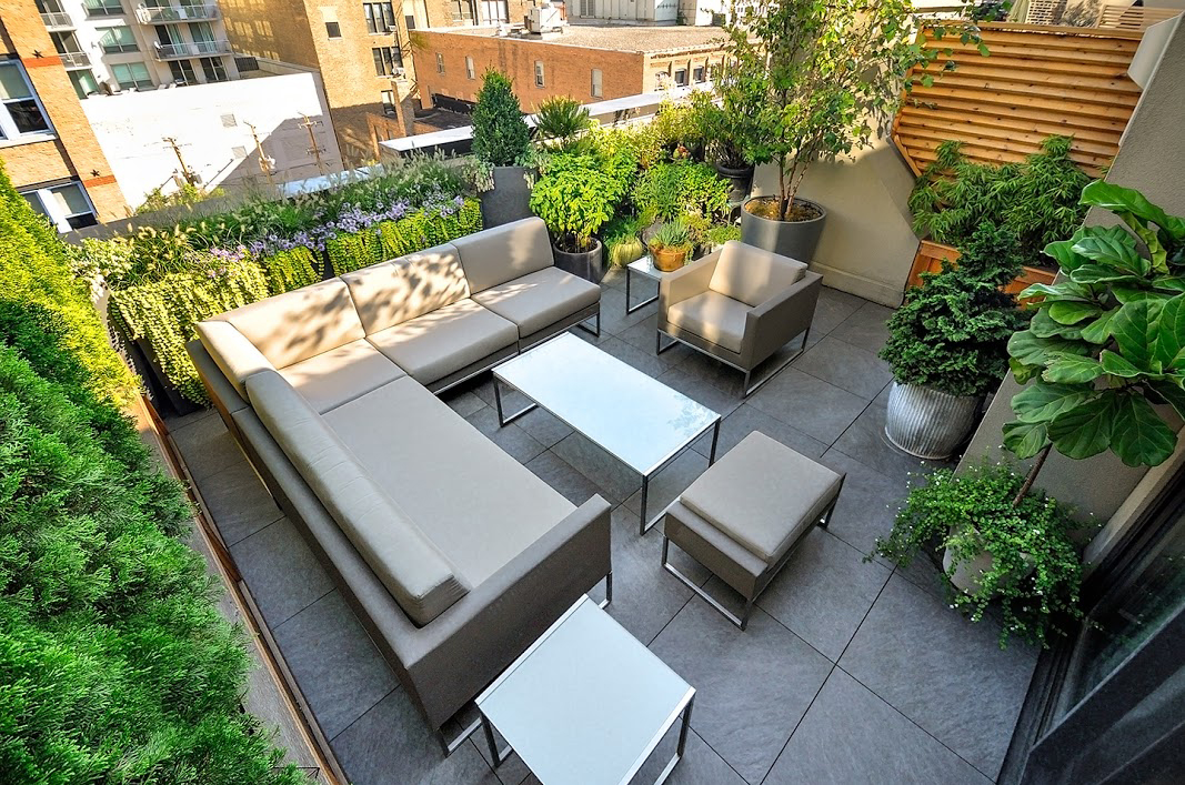 Urban Oasis: Rooftop Garden Paradise