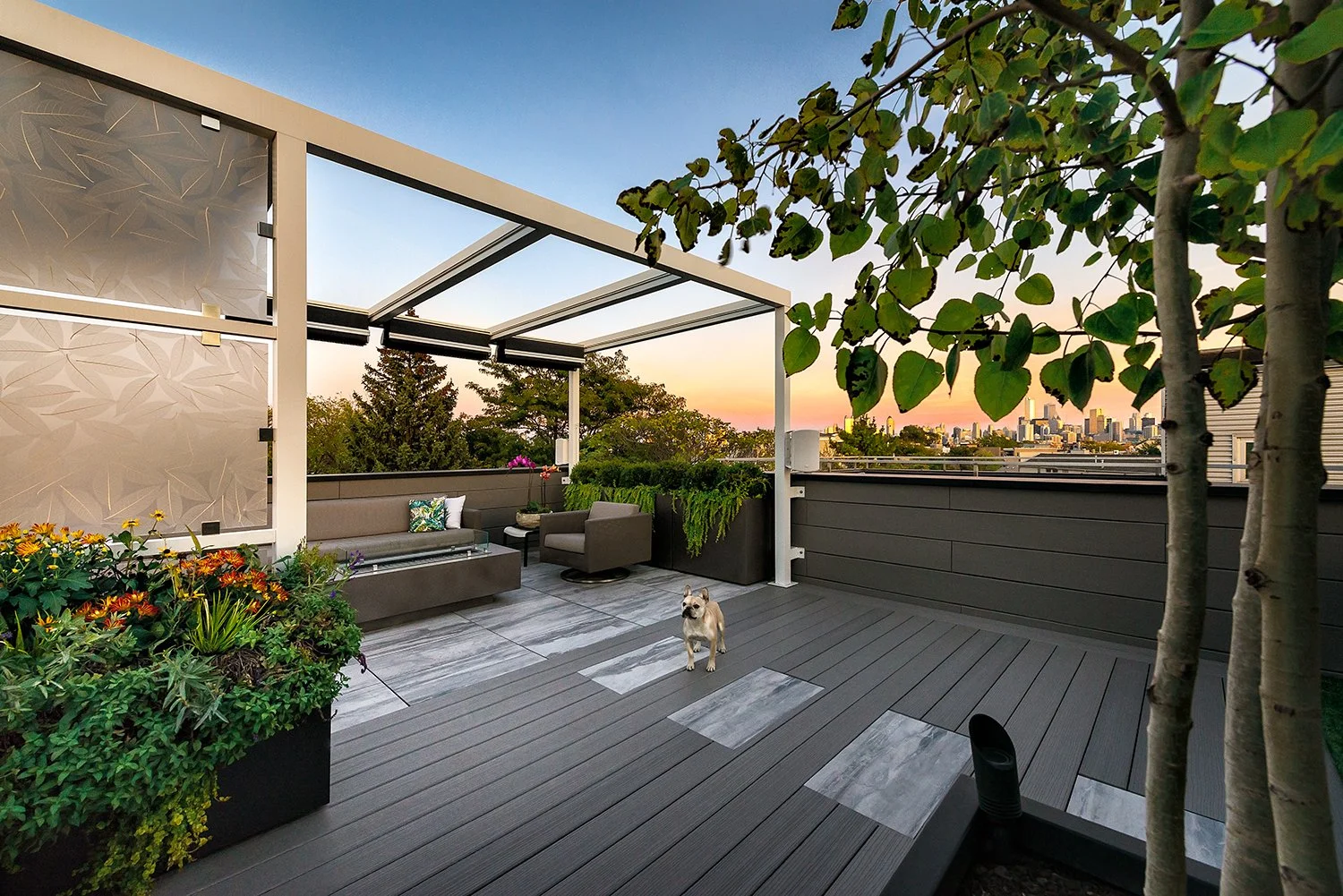 Rooftop Decks — Reveal Design LLC