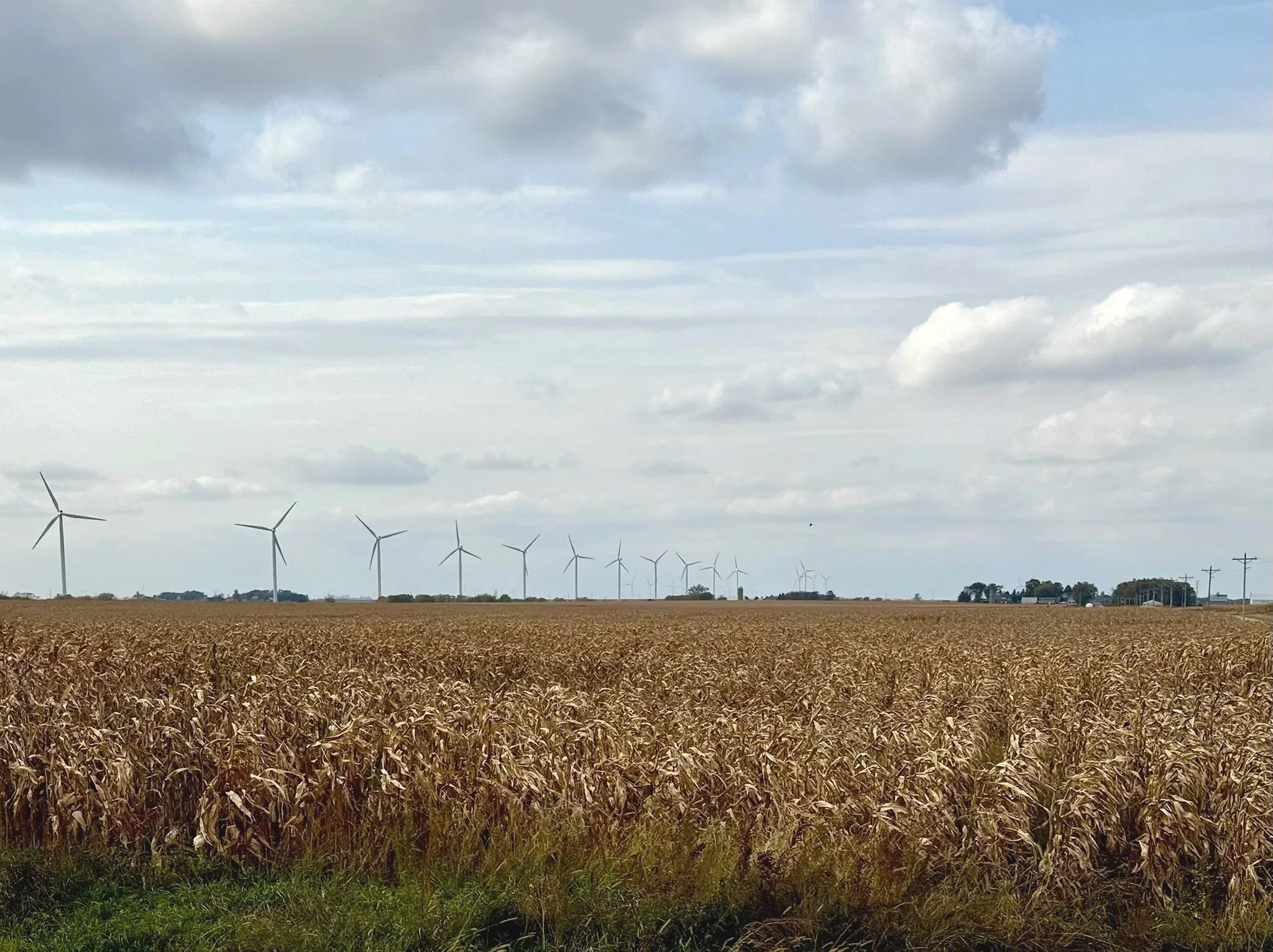 Lose some, win some.