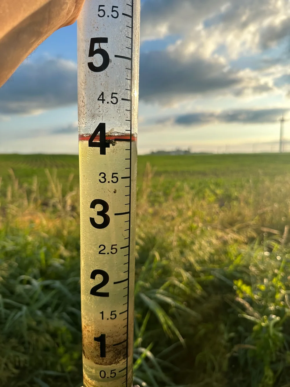 Endless Summer — Pinicon Farm