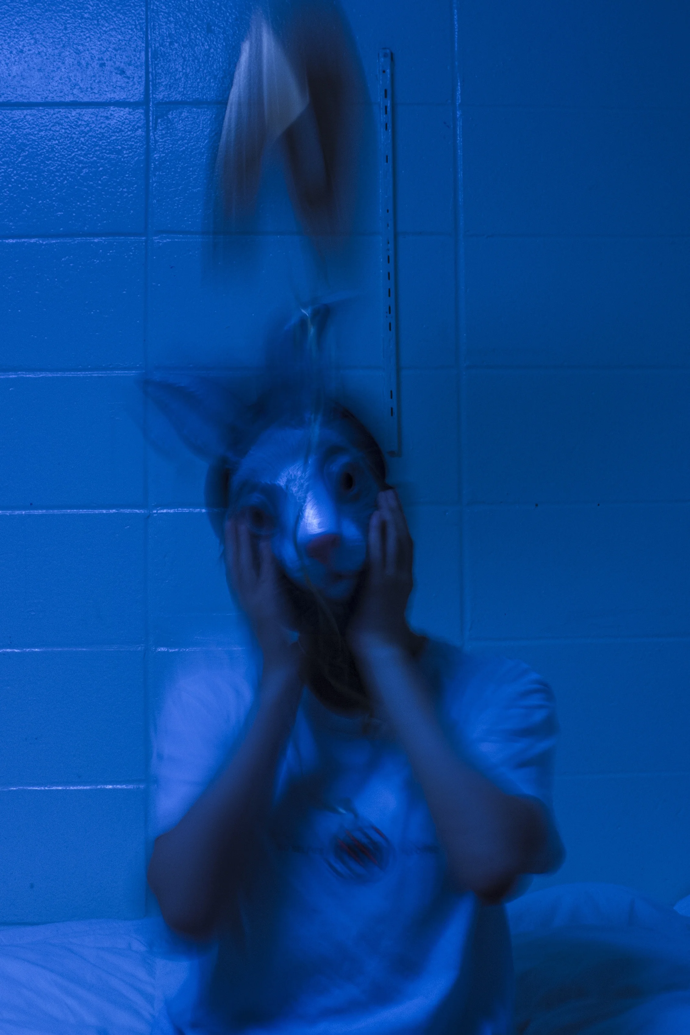 Blue.jpg